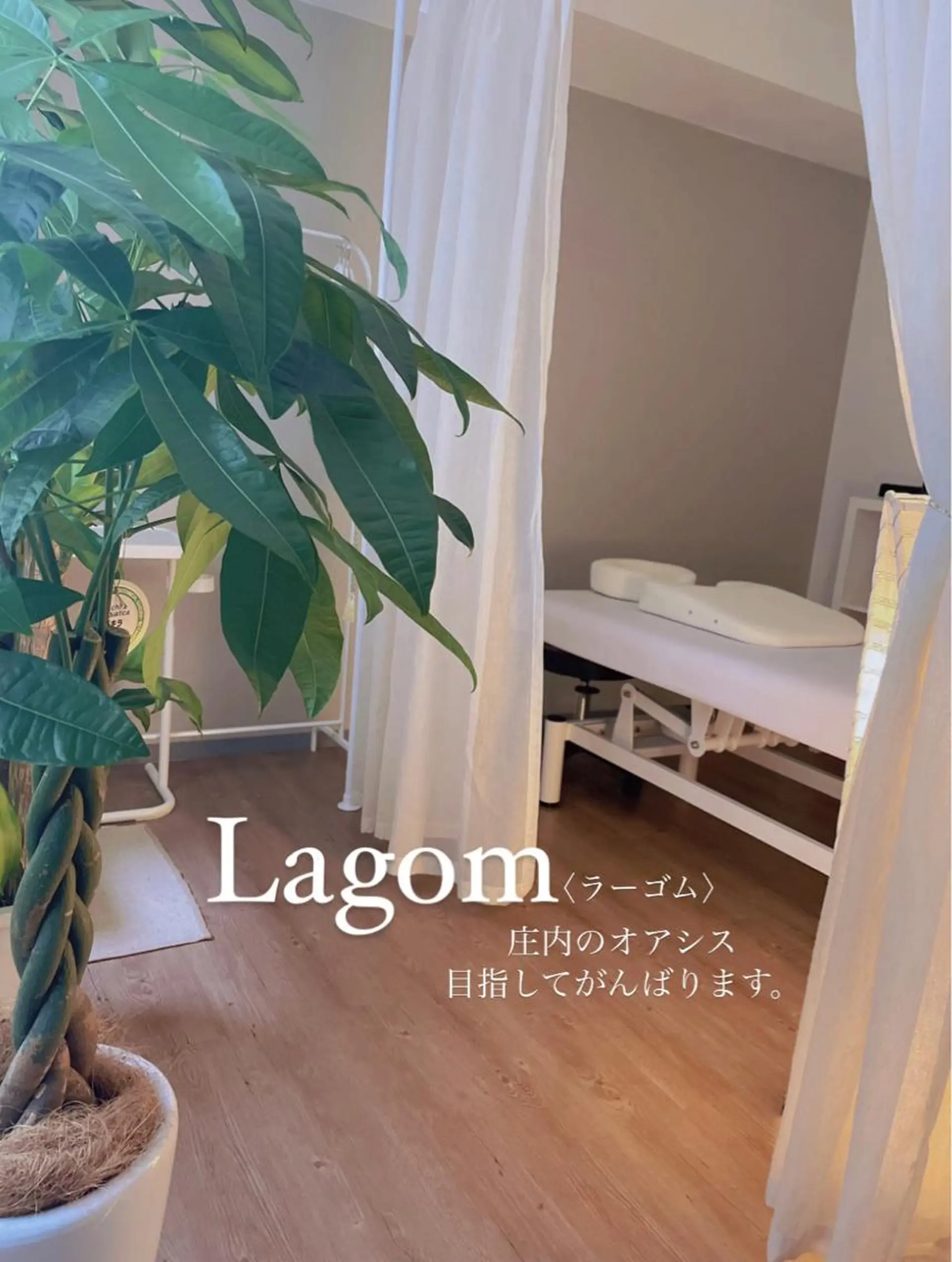 整体｜リンパ｜足つぼ ｜よもぎ蒸し｜足薬湯のエステ・リラクイメージ