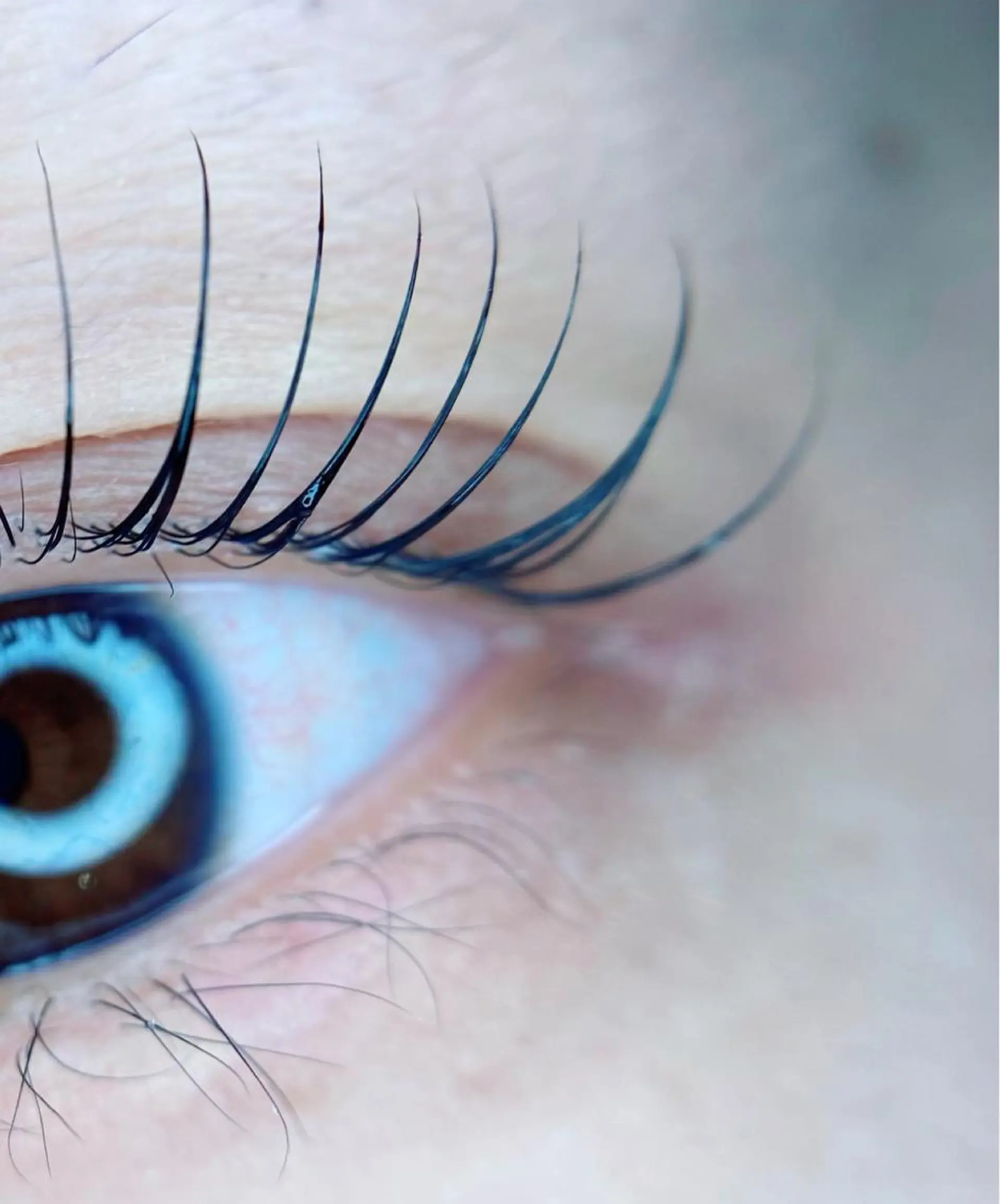 マツエク・マツパ マツパ Lecherien所属・Lecherien ルシェリアのマツエク・マツパデザイン