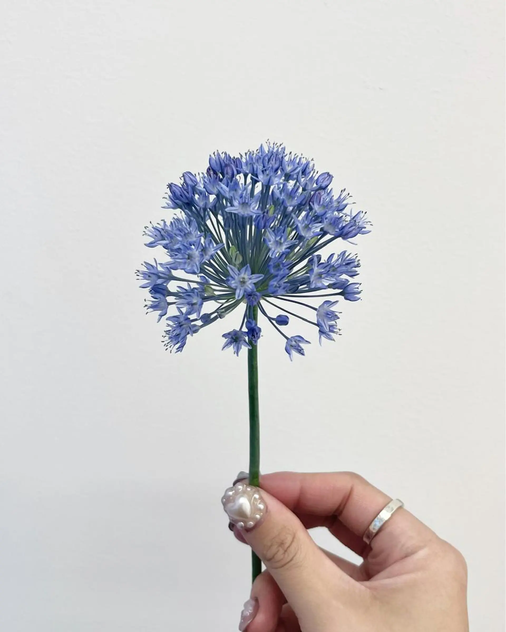 ショート カラー 暖色カラー／ ヘアセット🌛櫻井舞のヘアスタイル