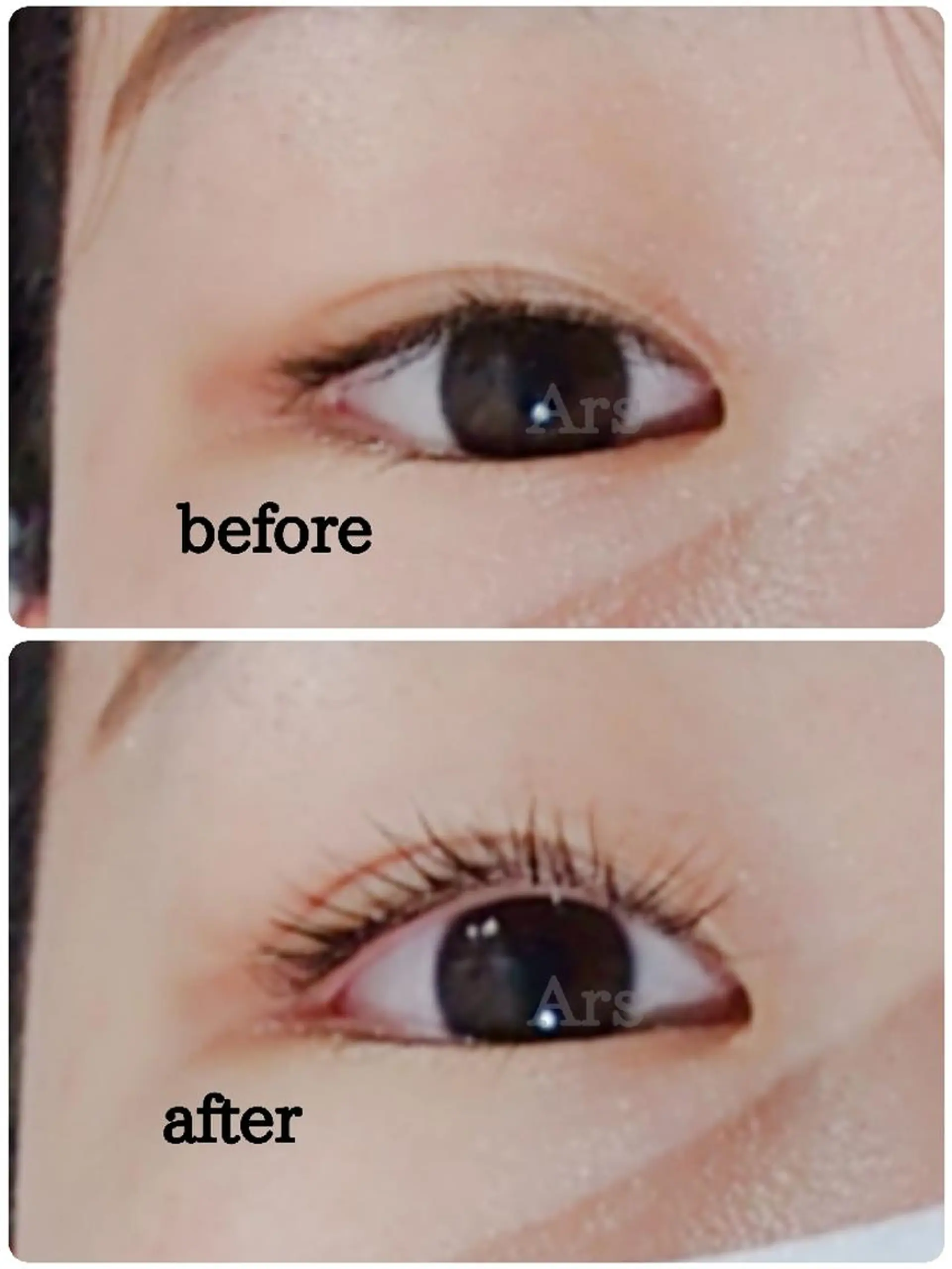 マツエク・マツパ アイリッドアップパーマ Ars (アルス)所属・Ars (アルス)のマツエク・マツパデザイン