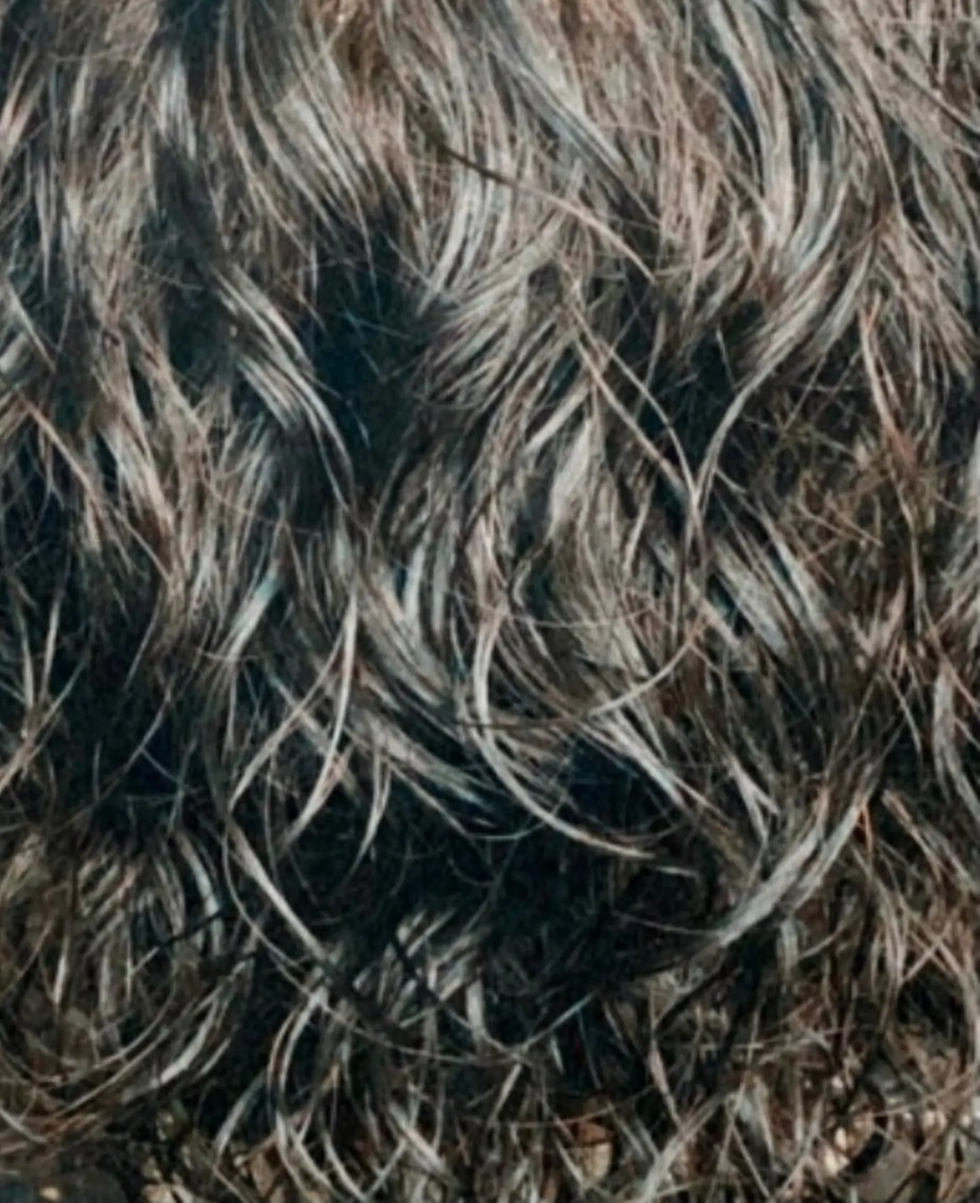 ミディアム パーマ ヘアアレンジ XENA表参道 MIKUのヘアスタイル