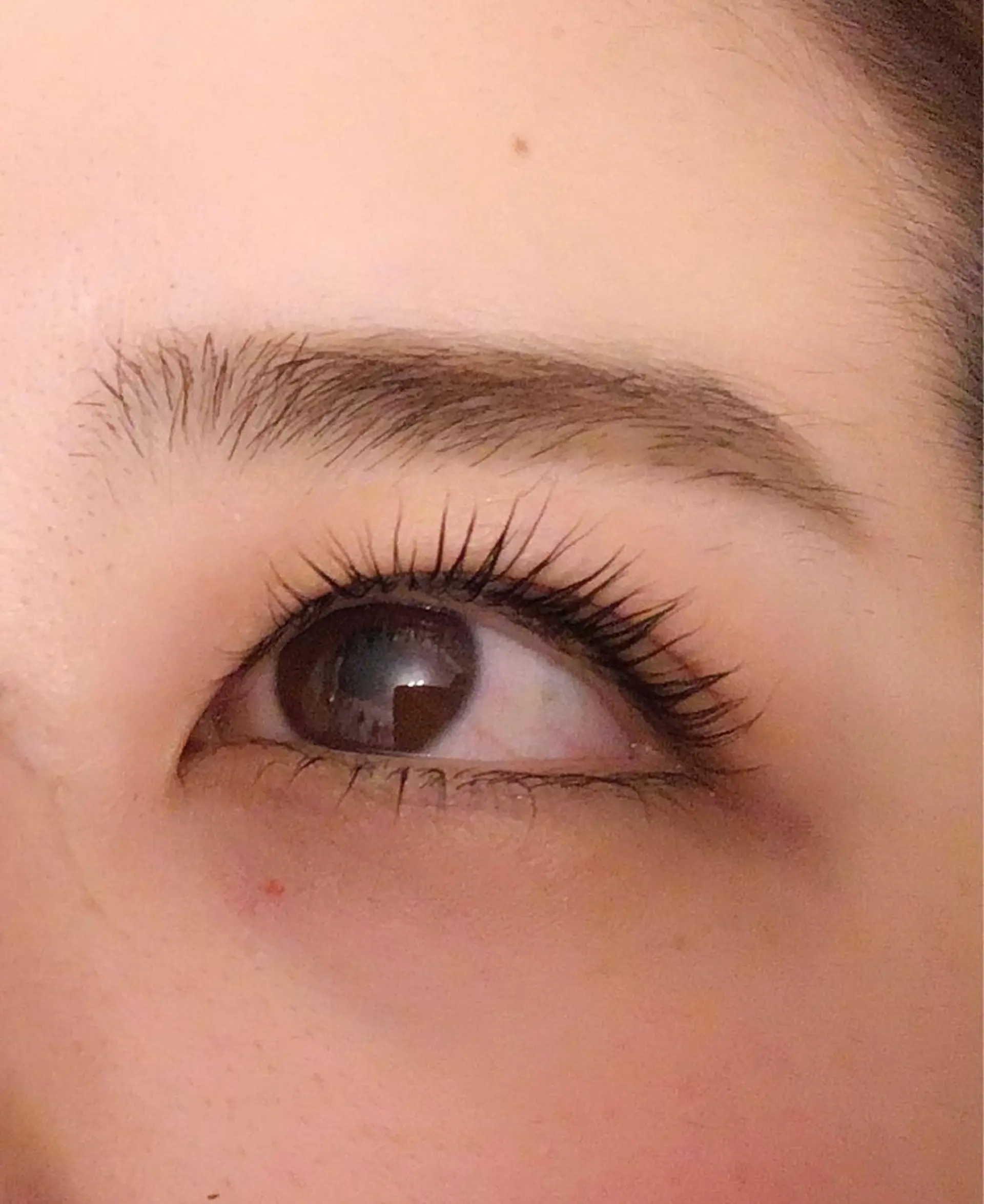 マツエク・マツパ マツエク eyelash GARDENのマツエク・マツパデザイン