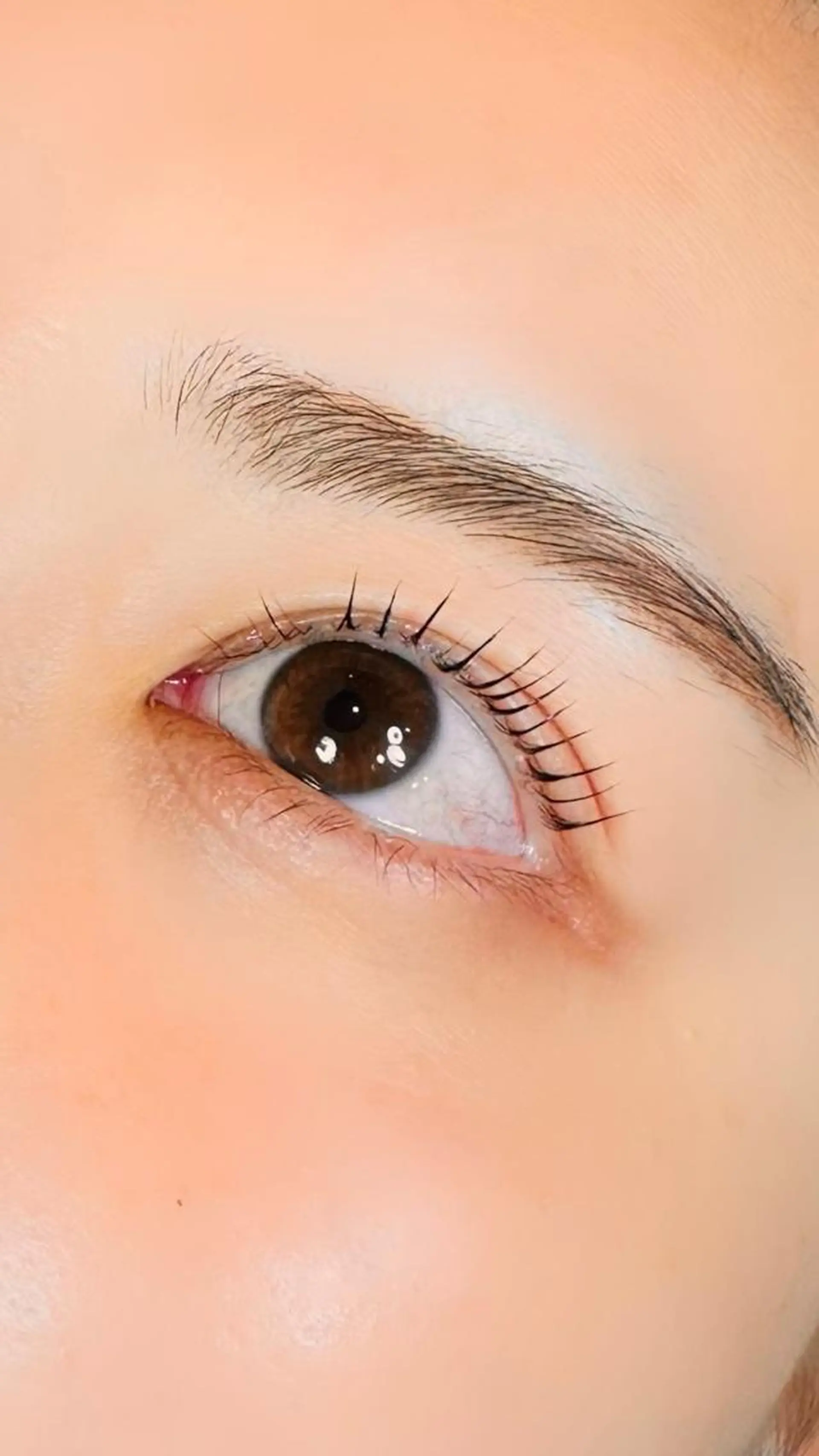 マツエク・マツパ マツパ Enchante 京都河原町のマツエク・マツパデザイン