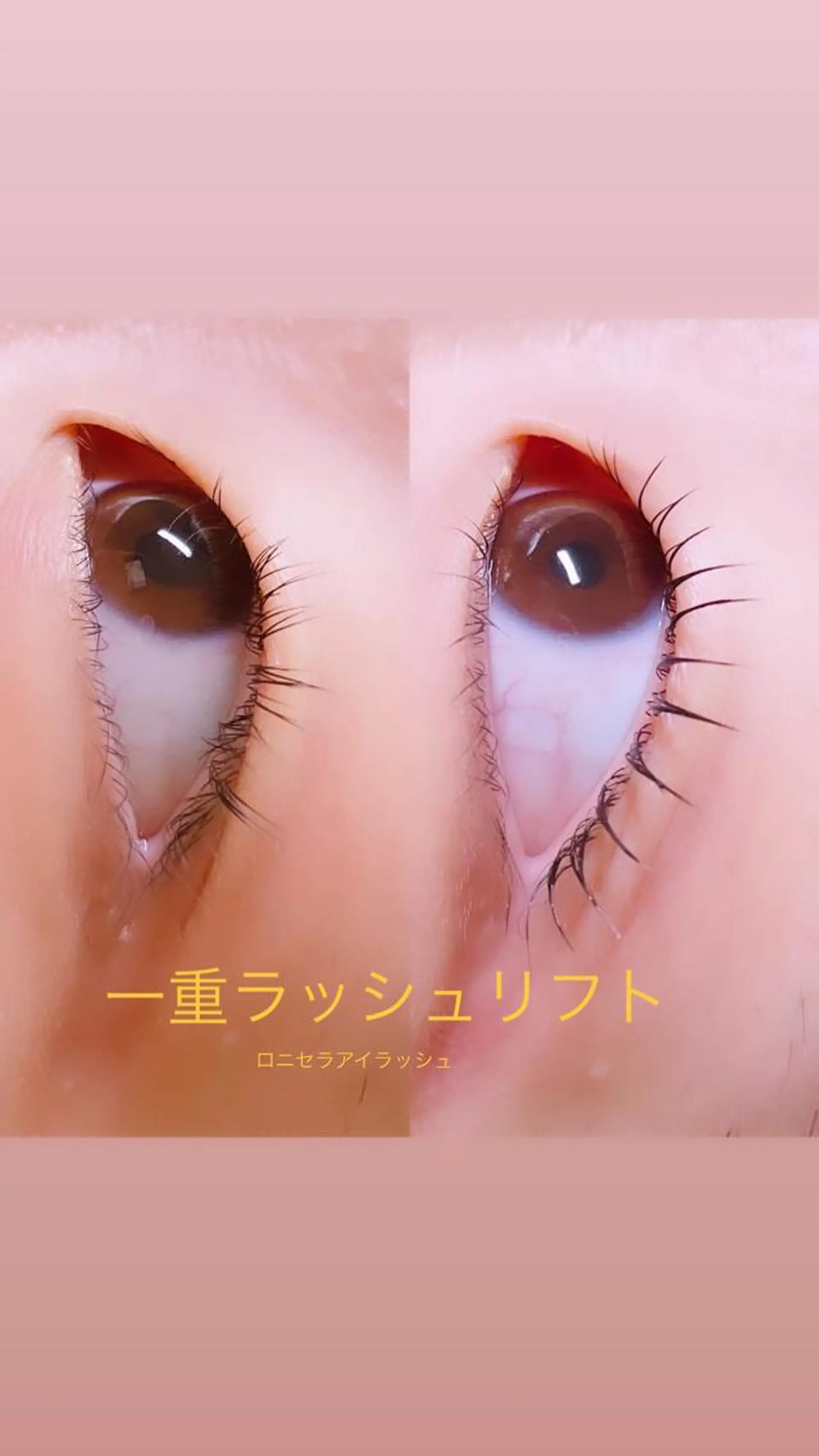 マツエク・マツパ 一重×まつ毛パーマ ロニセラ アイラッシュのマツエク・マツパデザイン