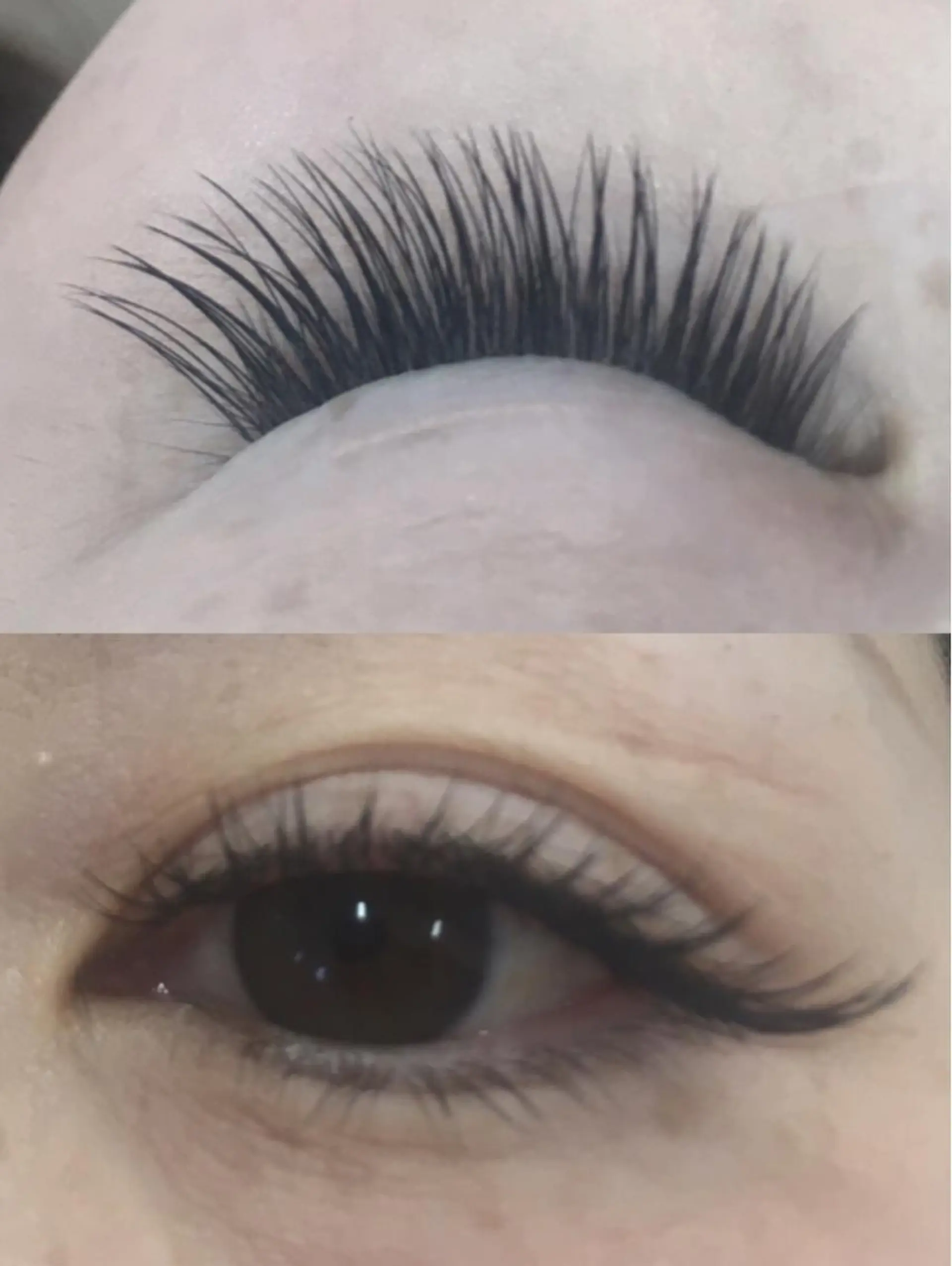 マツエク・マツパ マツエク Sugar シュガーのマツエク・マツパデザイン