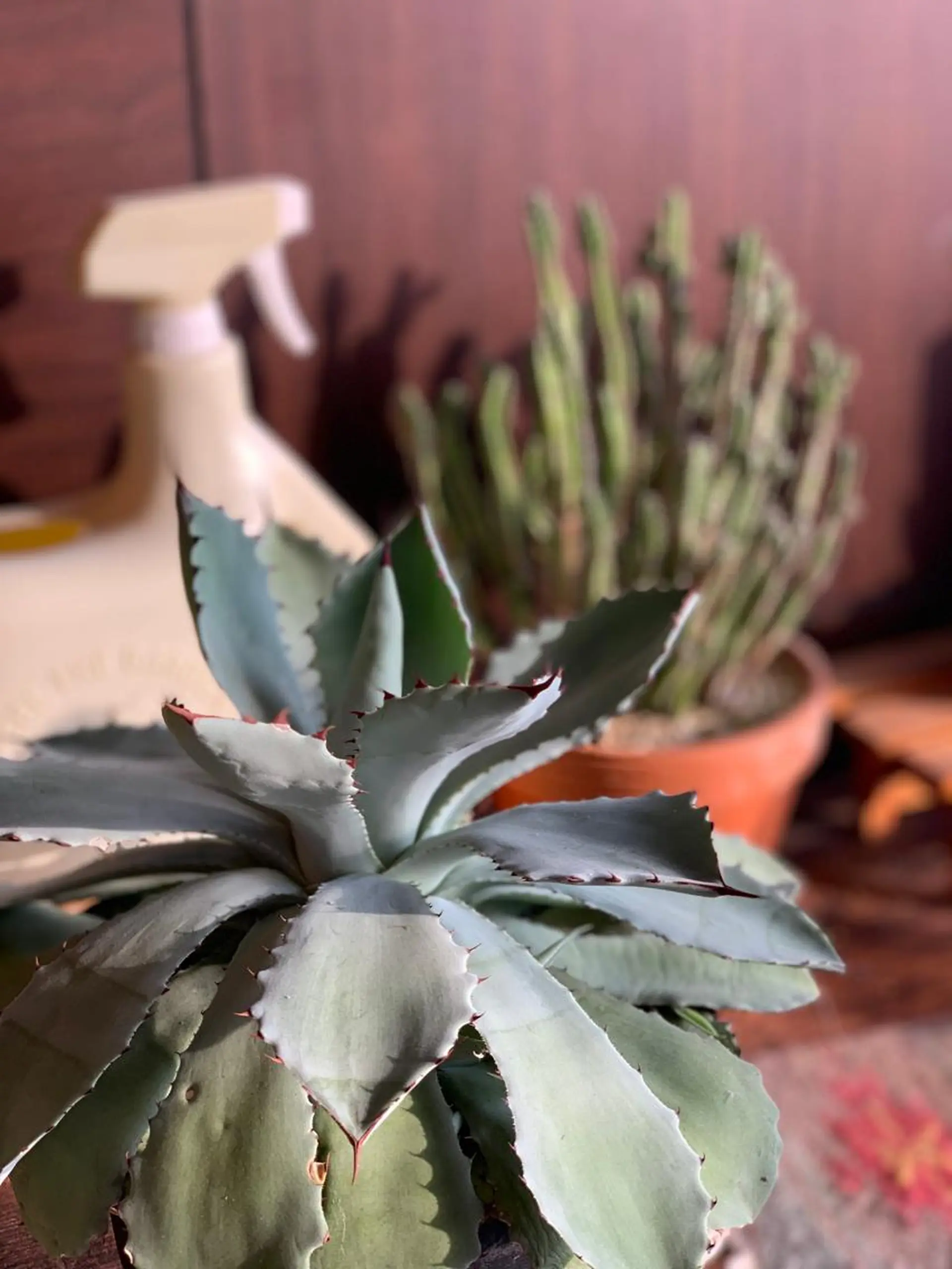 セミロング カラー ダブルカラー Emma ecole所属・Emma ecole /栄/RIOのヘアスタイル