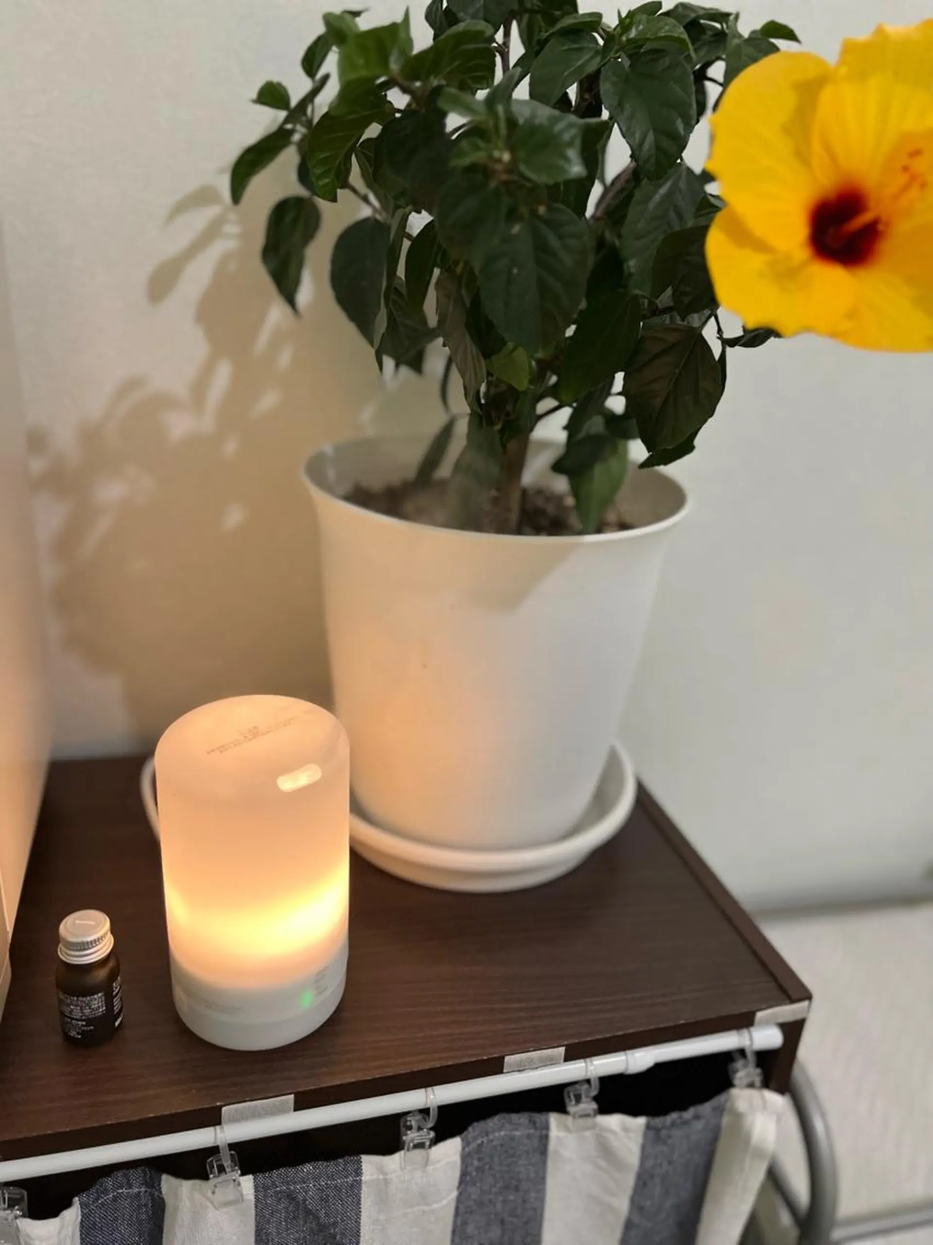 全身もみほぐし もみの樹のエステ・リラクイメージ