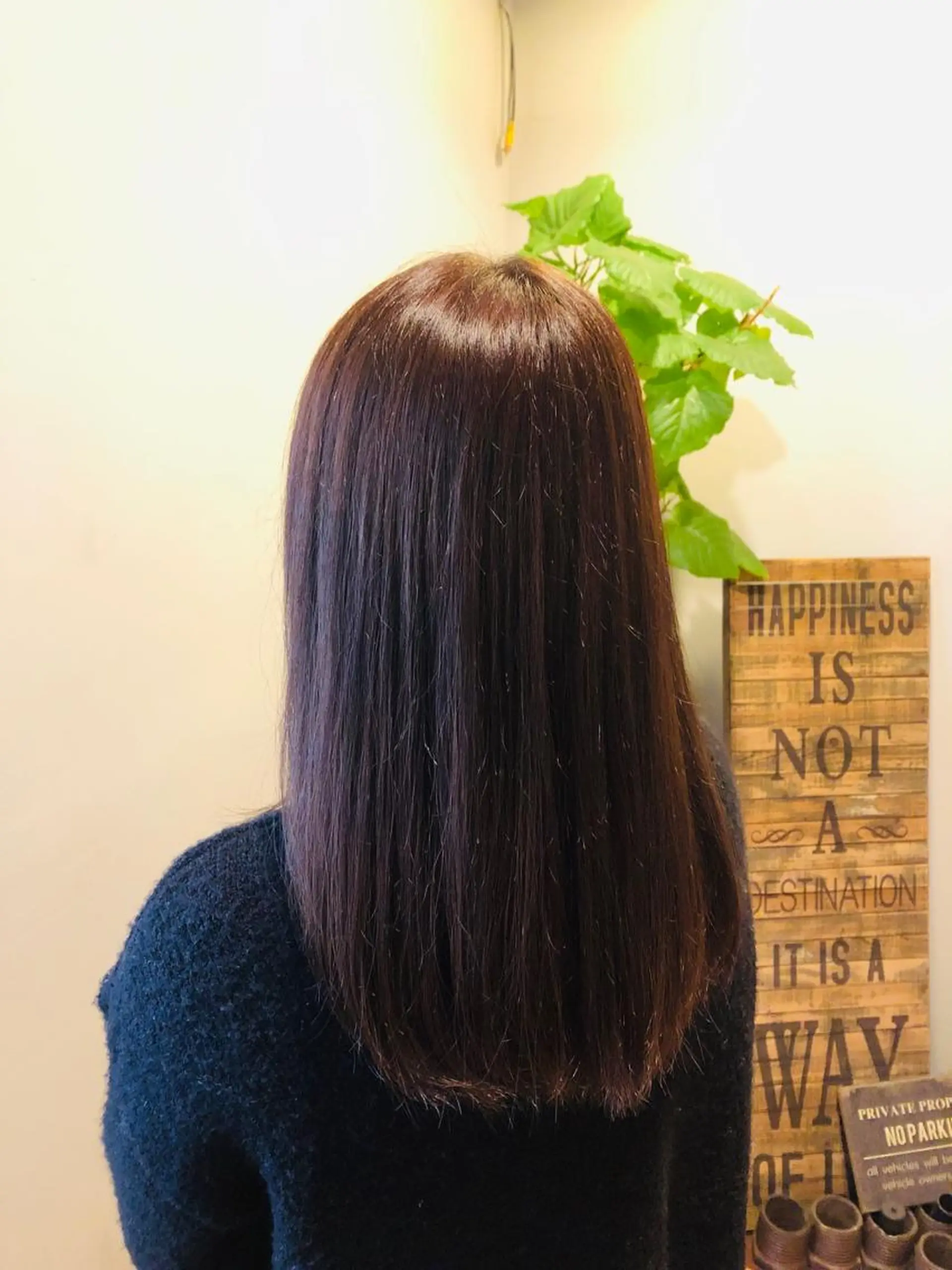 ミディアム カラー アッシュ バイオレットカラー バイオレットアッシュ カット ヘアカラー Sail所属・Sail 【セイル】のヘアスタイル