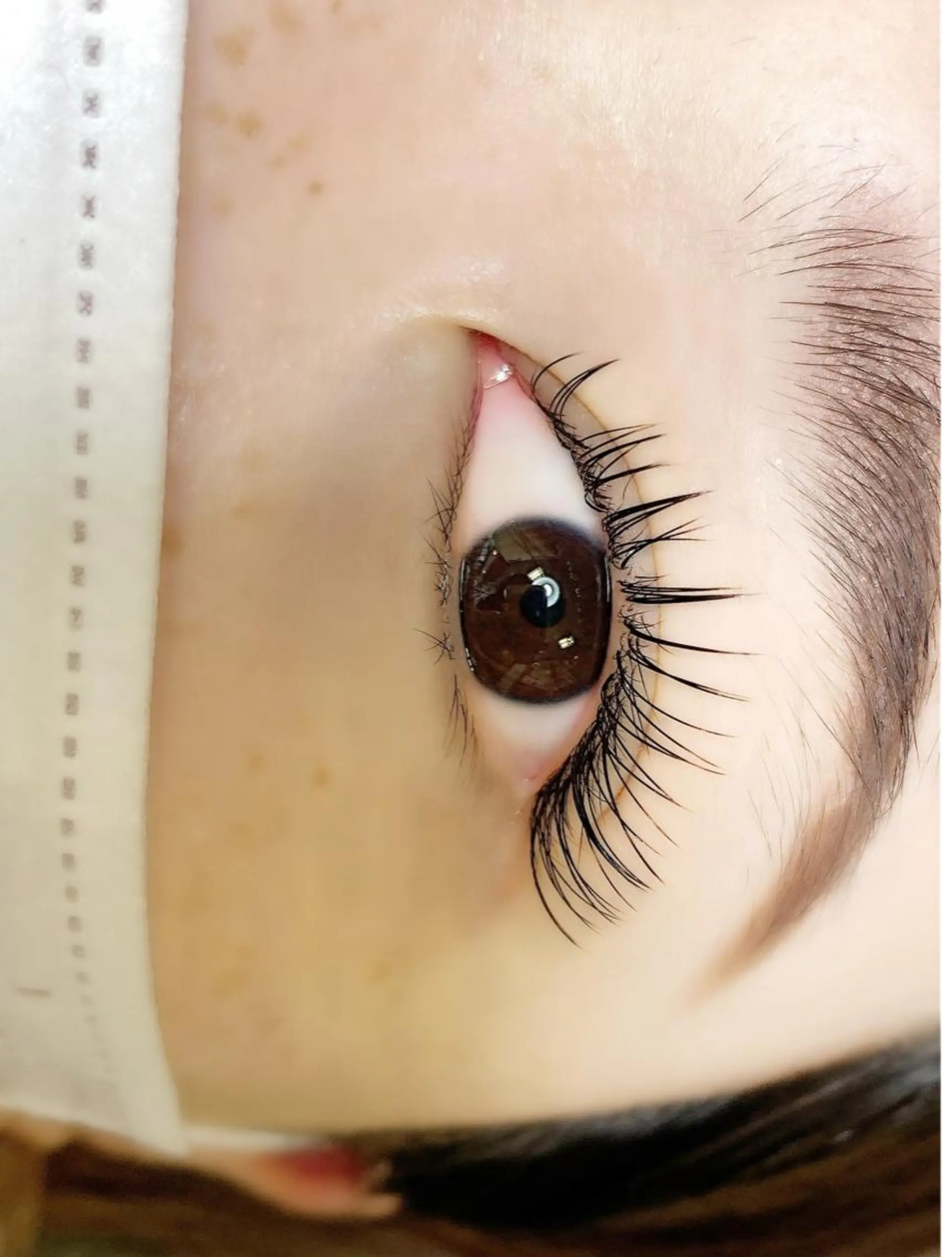 マツエク・マツパ Coa所属・eyelash/ Renaのマツエク・マツパデザイン