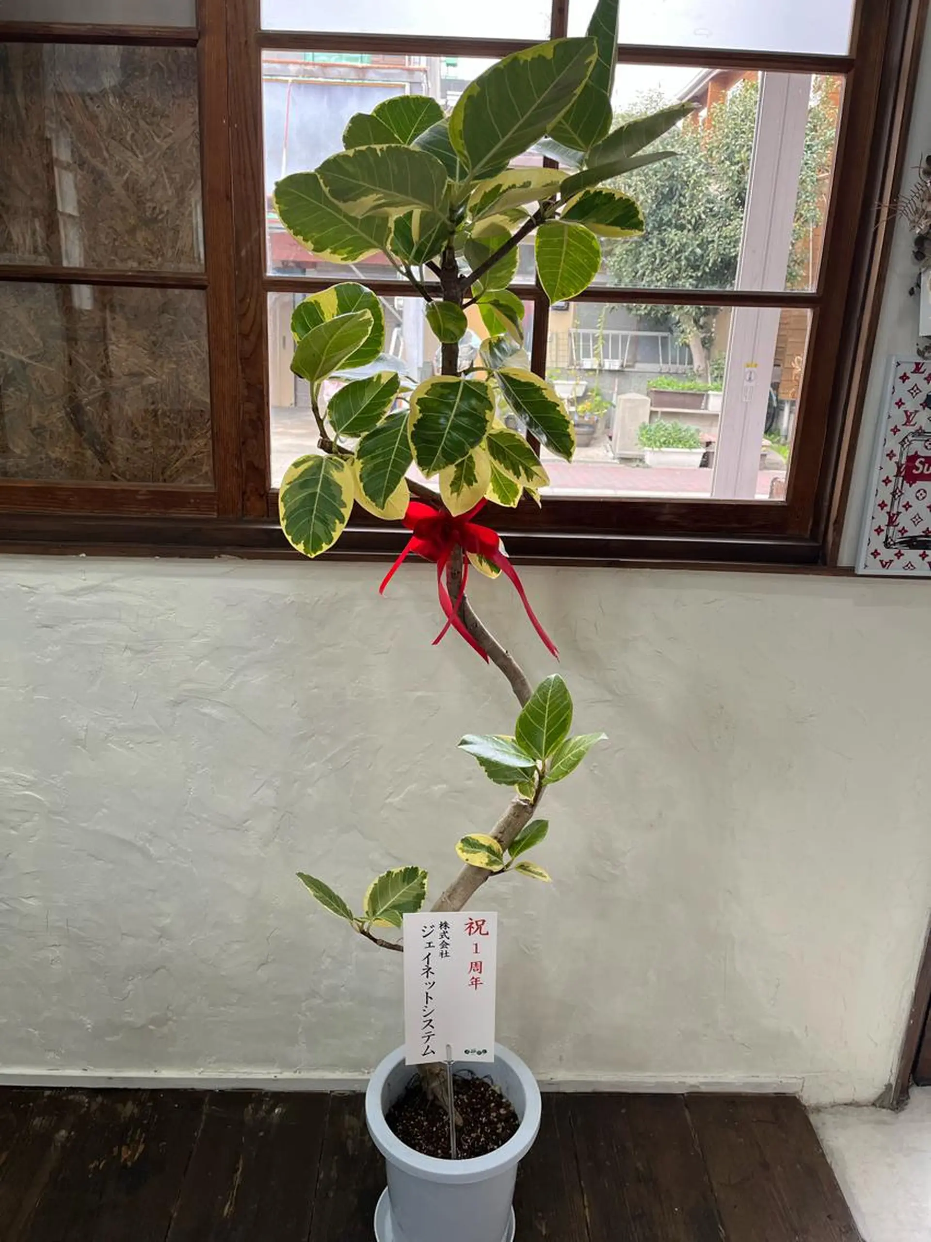 Sona hair & eyelash salon所属・紙屋 隼人のヘアスタイル