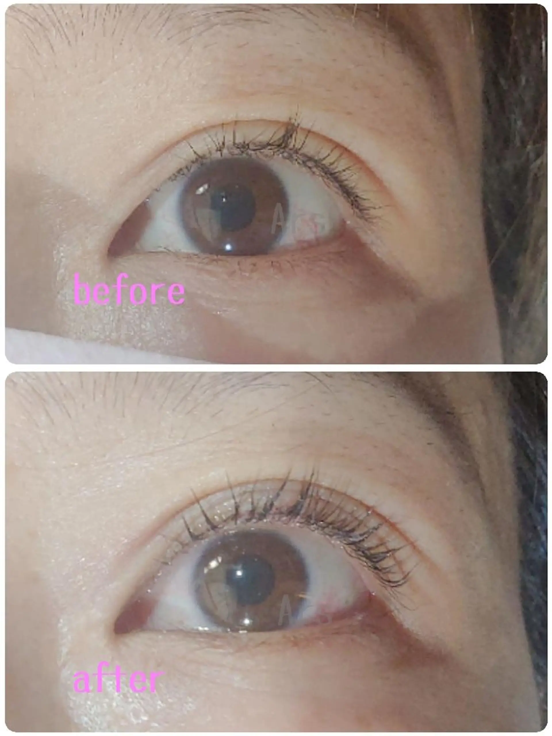 マツエク・マツパ アイリッドアップパーマ Ars  (ｱﾙｽ)所属・Ars      (ｱﾙｽ)のマツエク・マツパデザイン