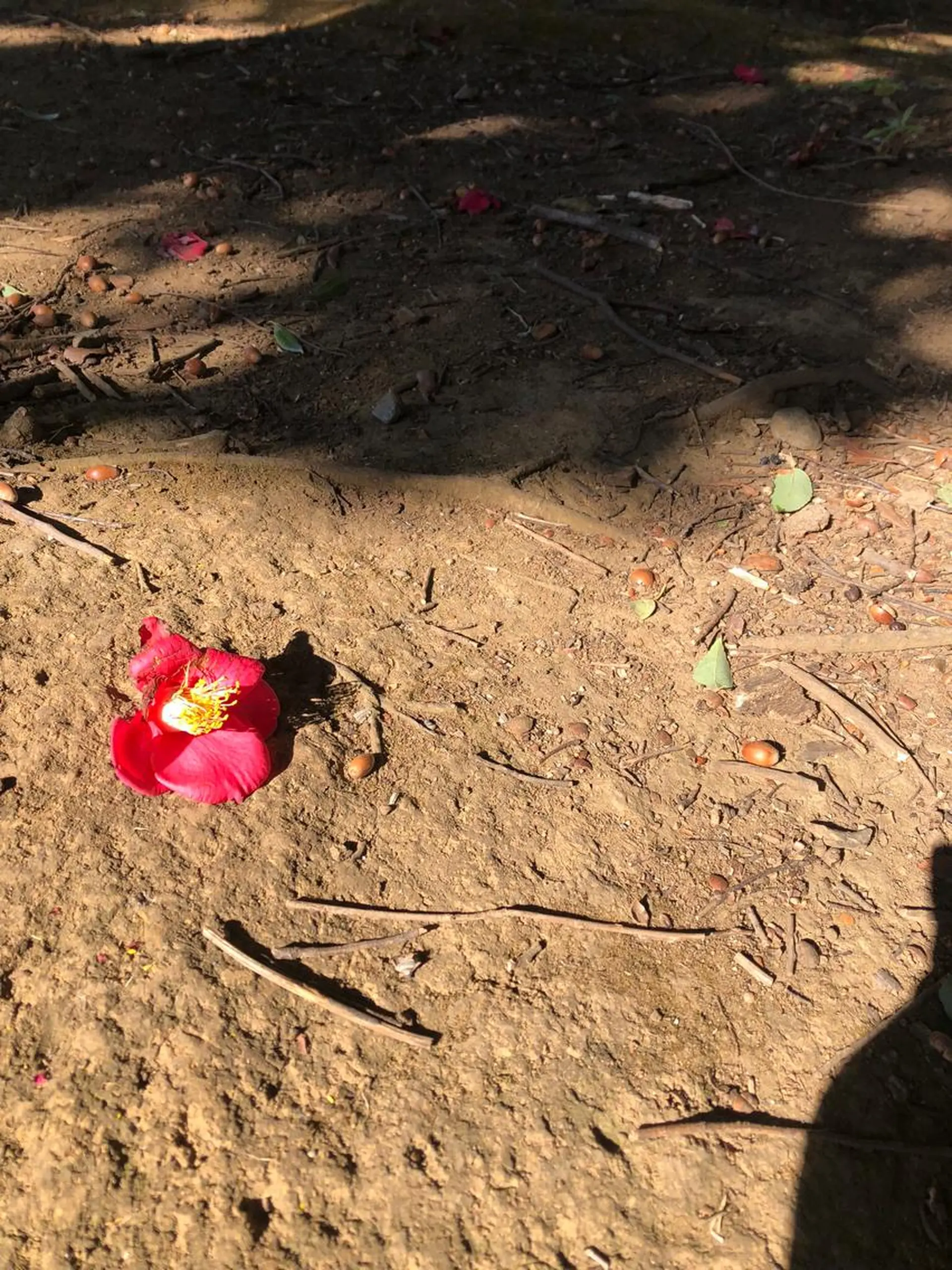 エステ リラク basico  のエステ・リラクイメージ