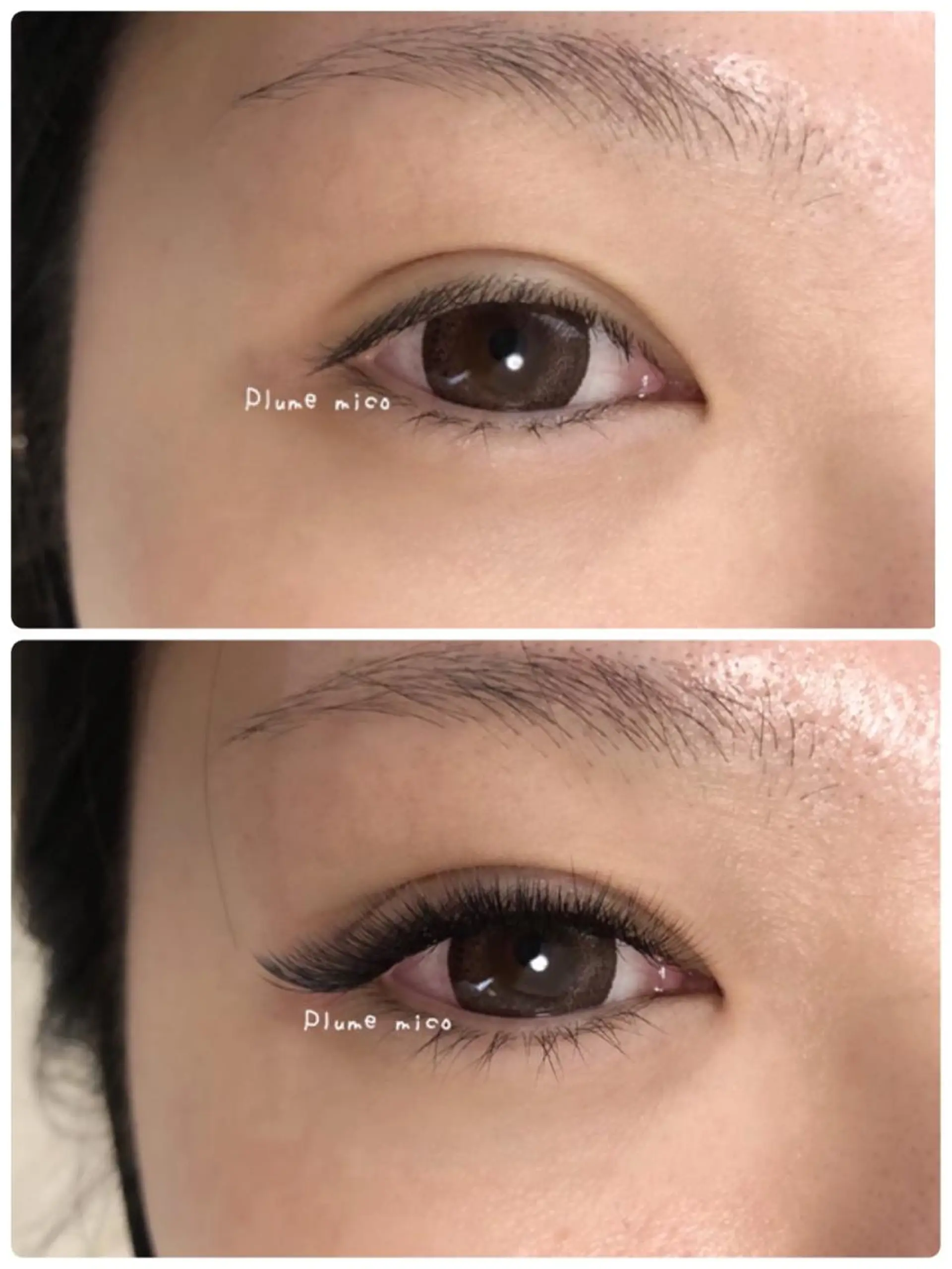 マツエク・マツパ マツエク Plume micoのマツエク・マツパデザイン