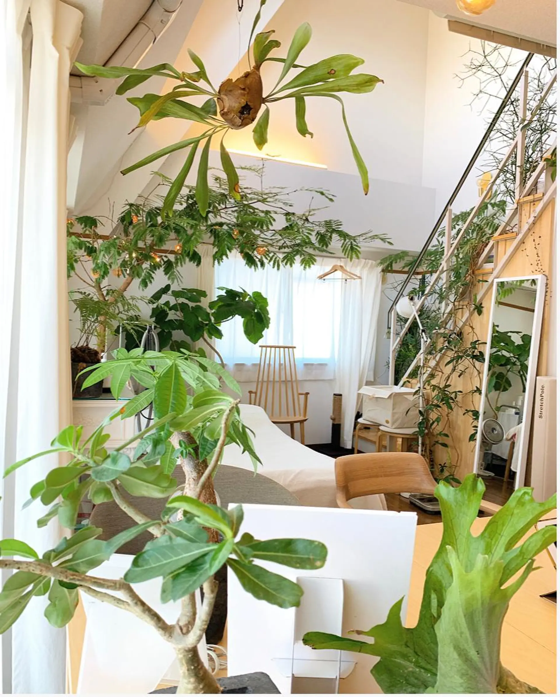 RENsalon大阪 体質改善リトリートのエステ・リラクイメージ