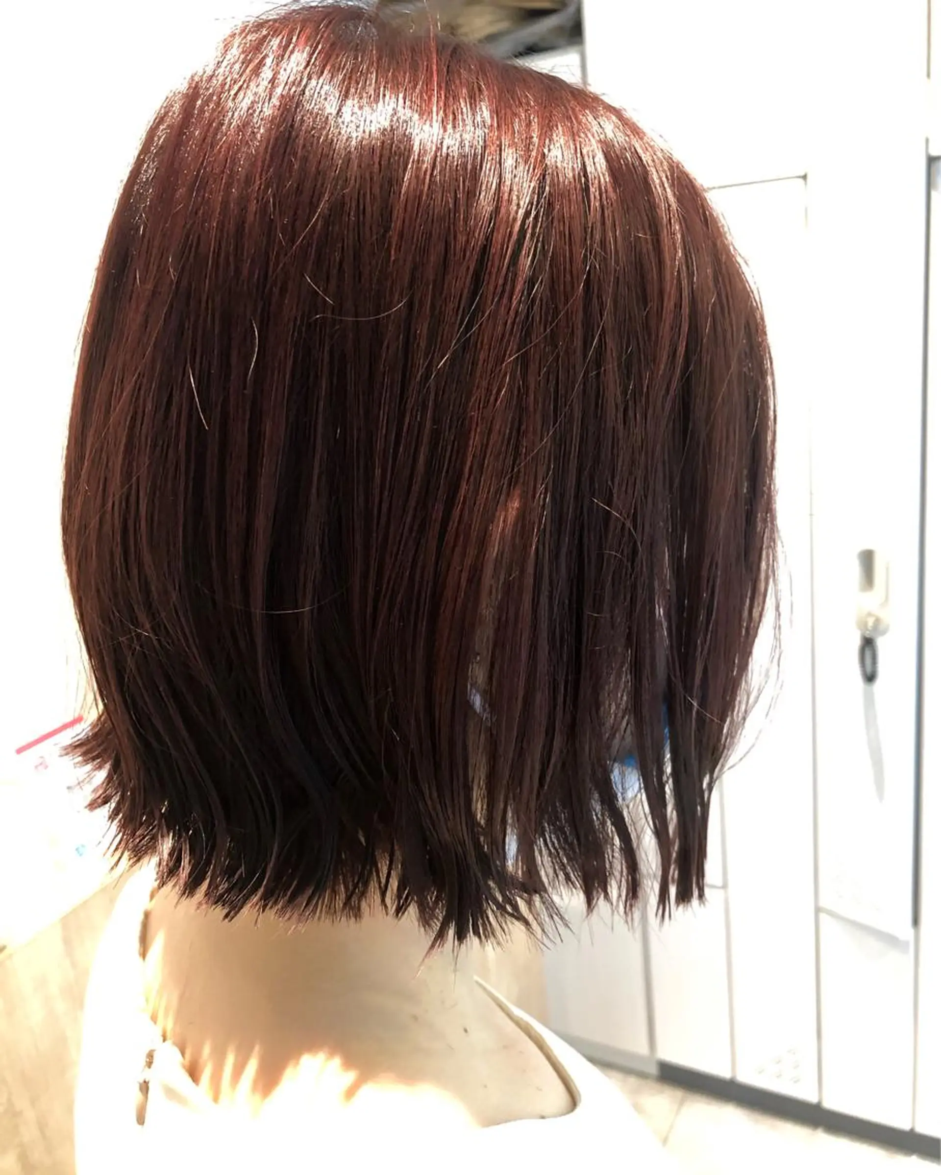 ショート カラー 切りっぱなしボブ ボブ 田辺 黎花のヘアスタイル