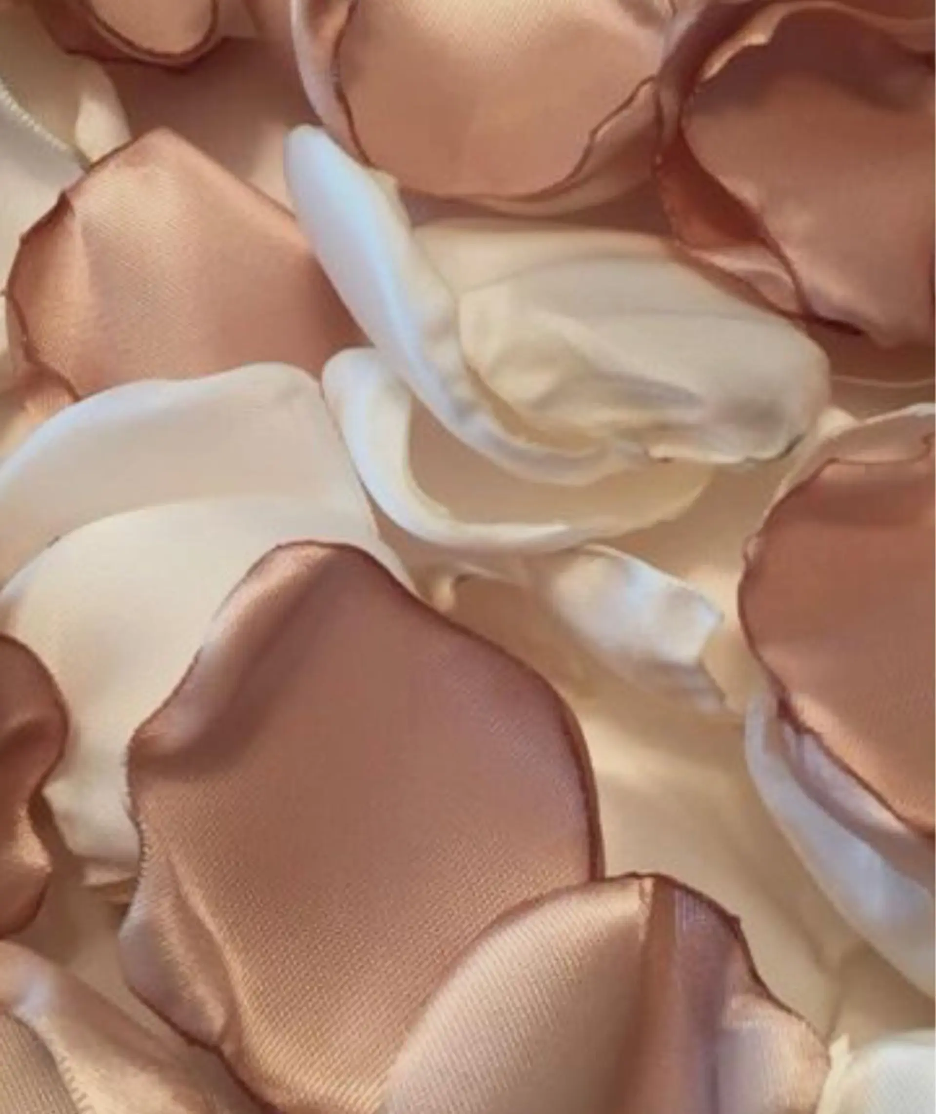 マツエク・マツパ ADDICT所属・.*･ﾟAmy .ﾟ･*.のマツエク・マツパデザイン