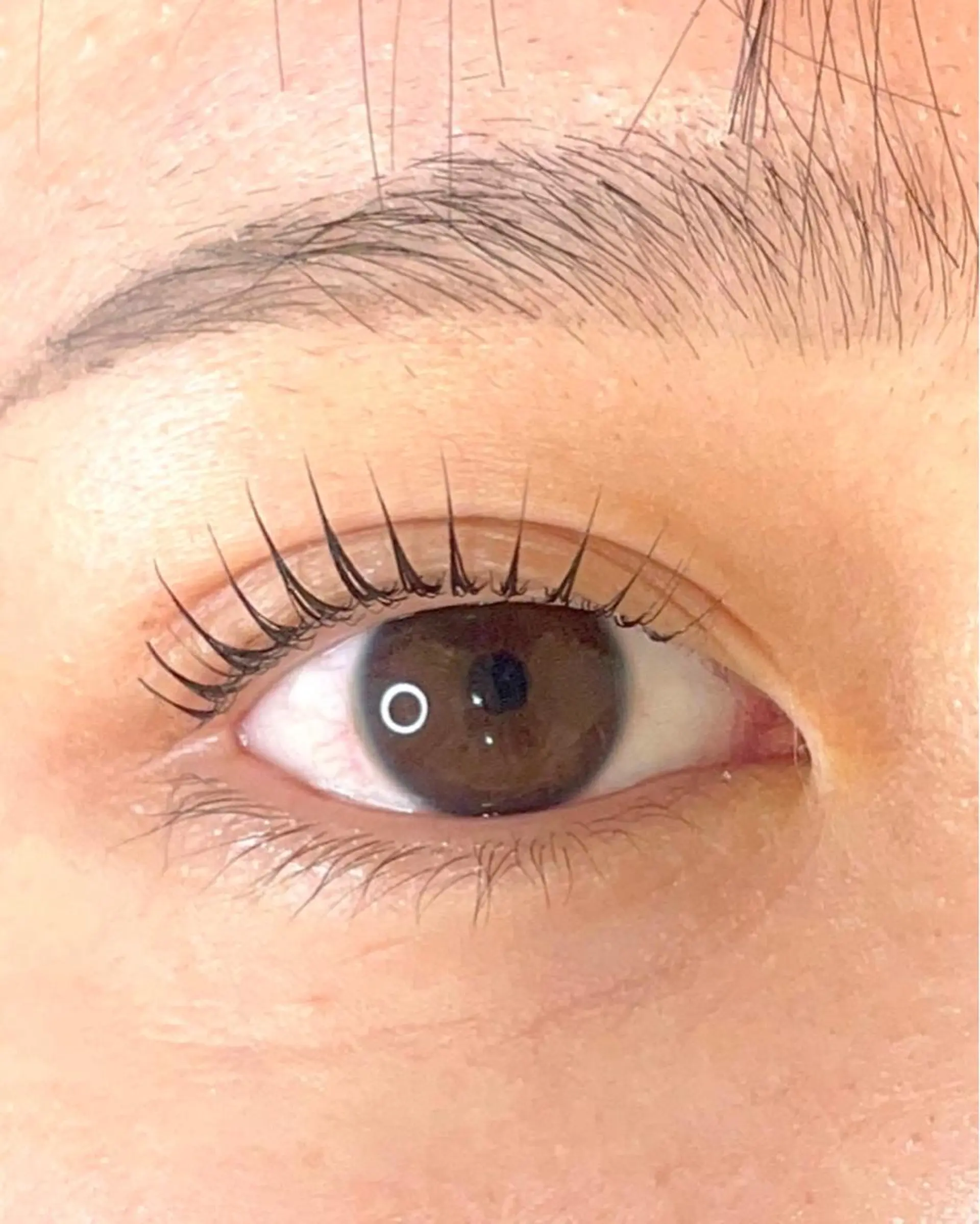 マツエク・マツパ L.所属・L. エルドットのマツエク・マツパデザイン