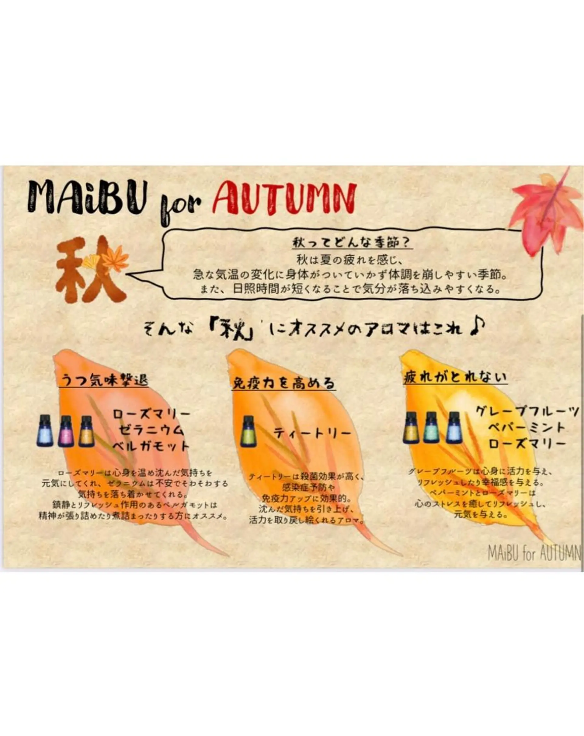 ヘッドスパ スパニスト🌟バリ式 アロマ🌴松田みずきのヘアスタイル