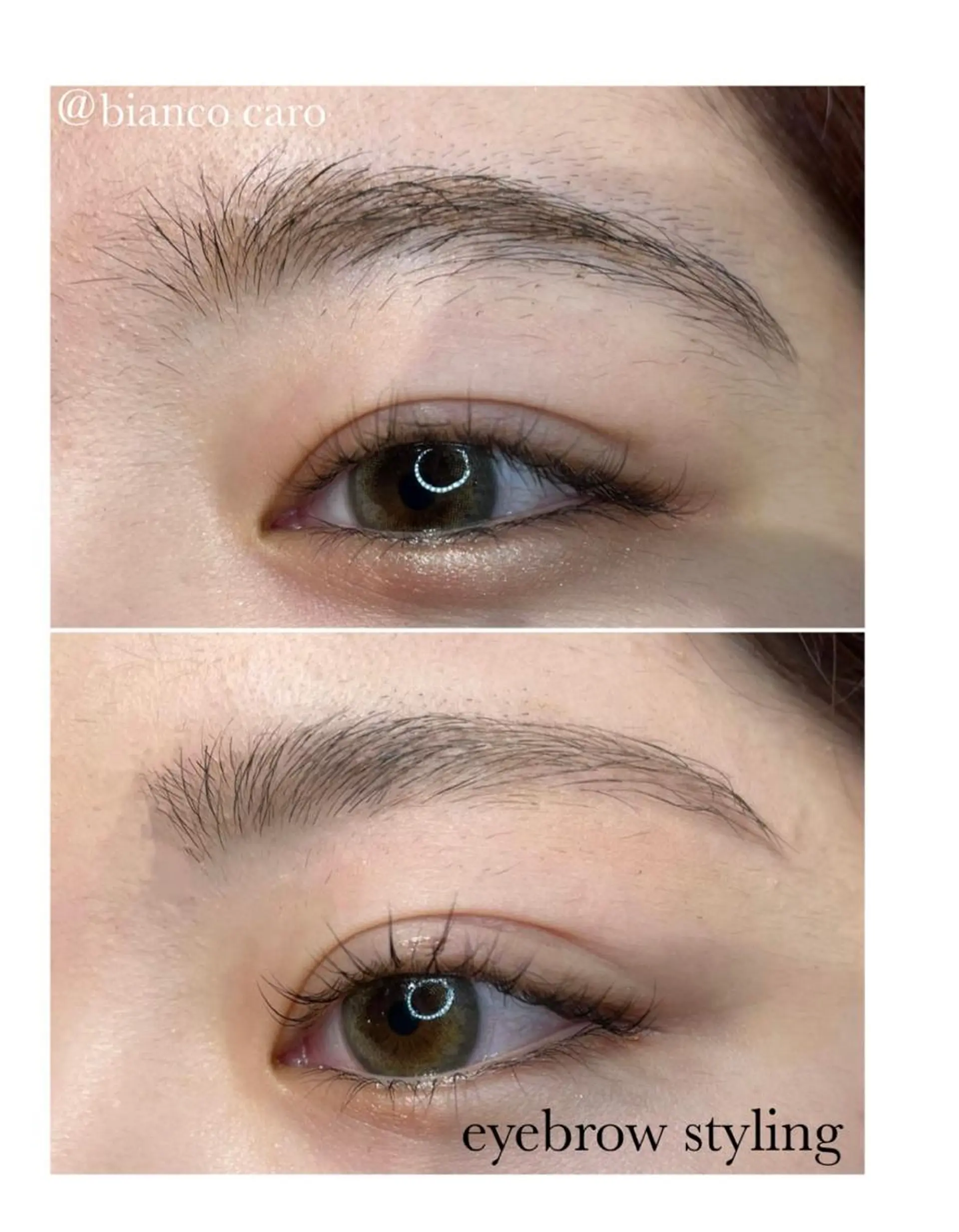 カルフールノア　府中所属・まつげパーマ専門店 /カルフールノア府中の眉毛・アイブロウイメージ