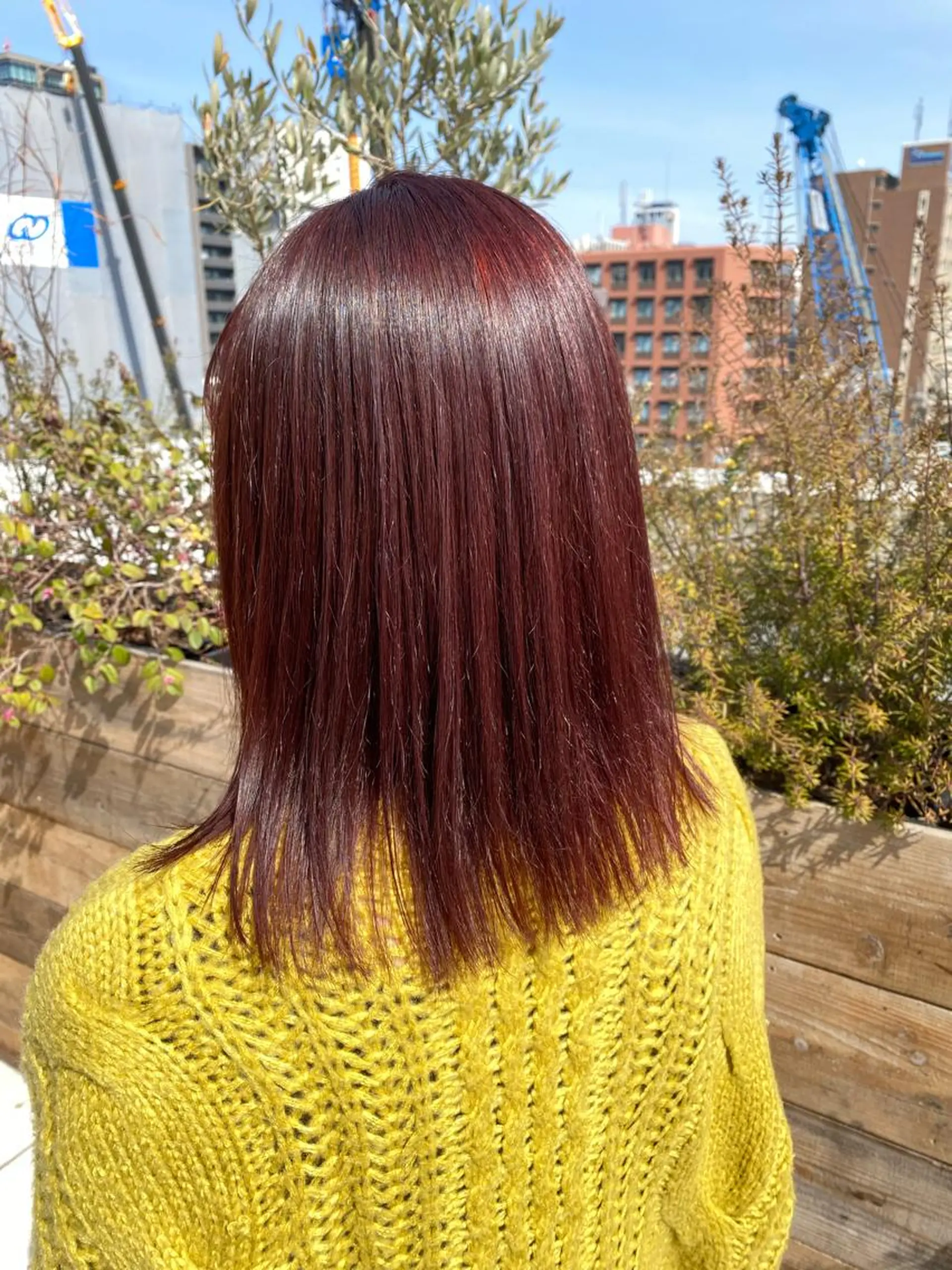 ミディアム カット ヘアカラー トリートメント 名駅/艶韓国風ヘア miyabiのヘアスタイル