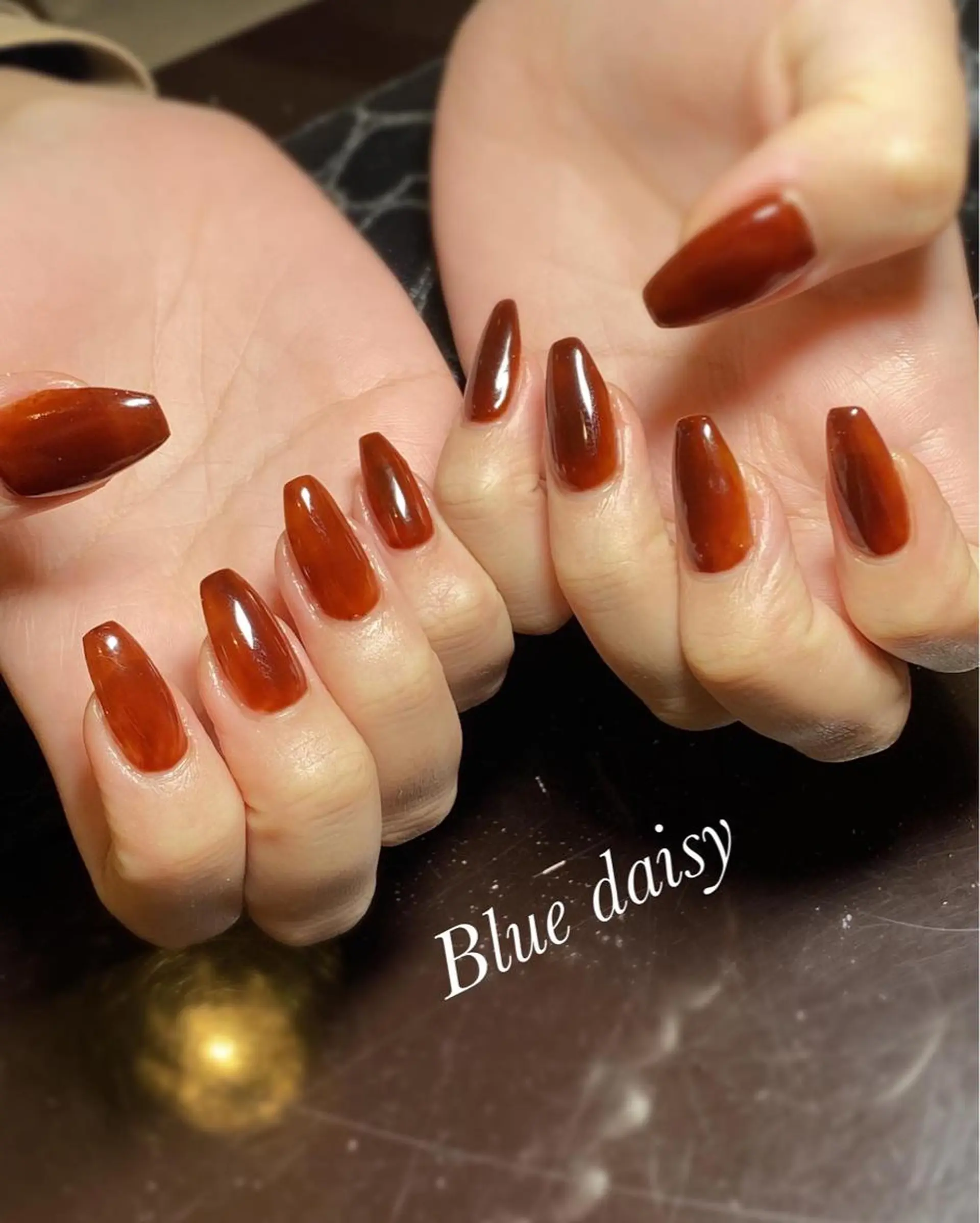ネイル ブラウン クリアネイル Blue　daisy　栄本店 【ブルーデイジー】所属・Blue daisy 栄本店のネイルデザイン