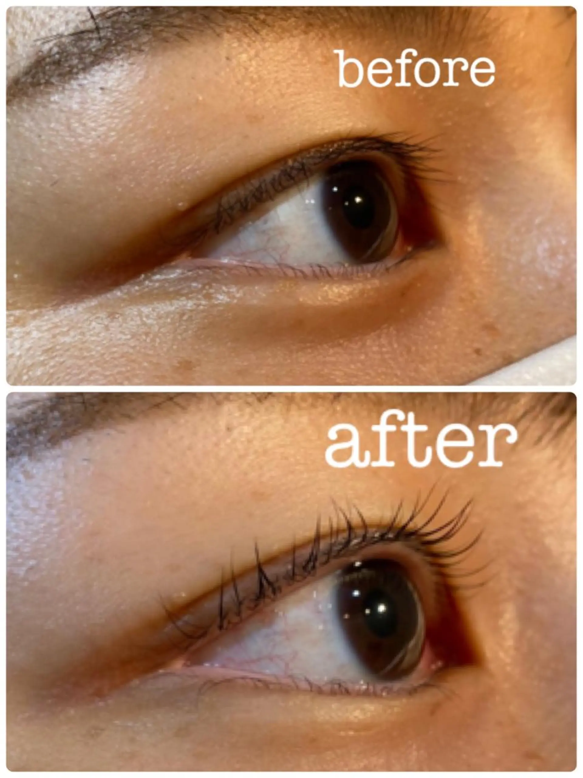 マツエク・マツパ パリジェンヌラッシュリフト ehl:fa Beautyのマツエク・マツパデザイン