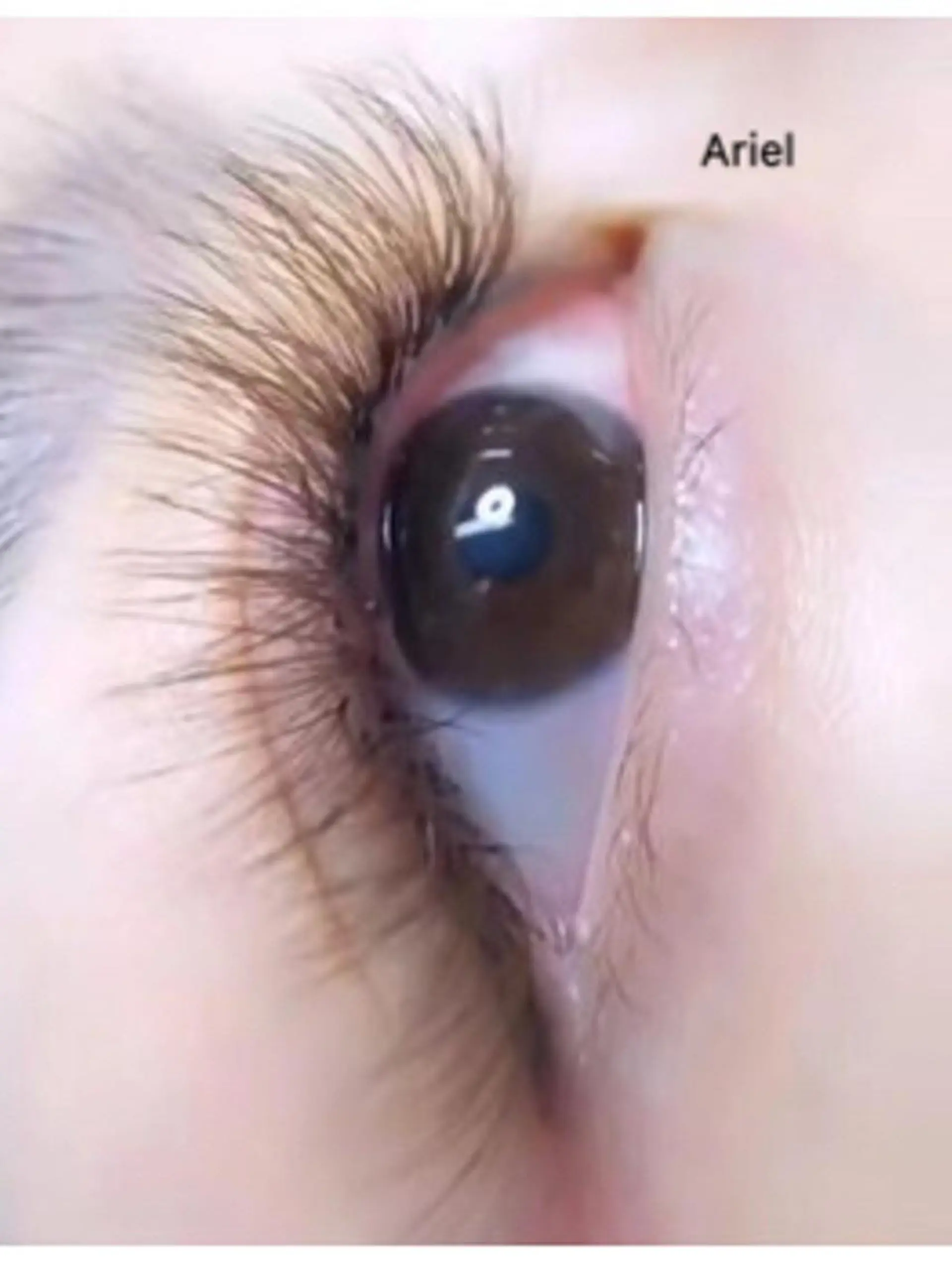 マツエク・マツパ 付け放題 カラーマツエク 羽賀 美和のマツエク・マツパデザイン