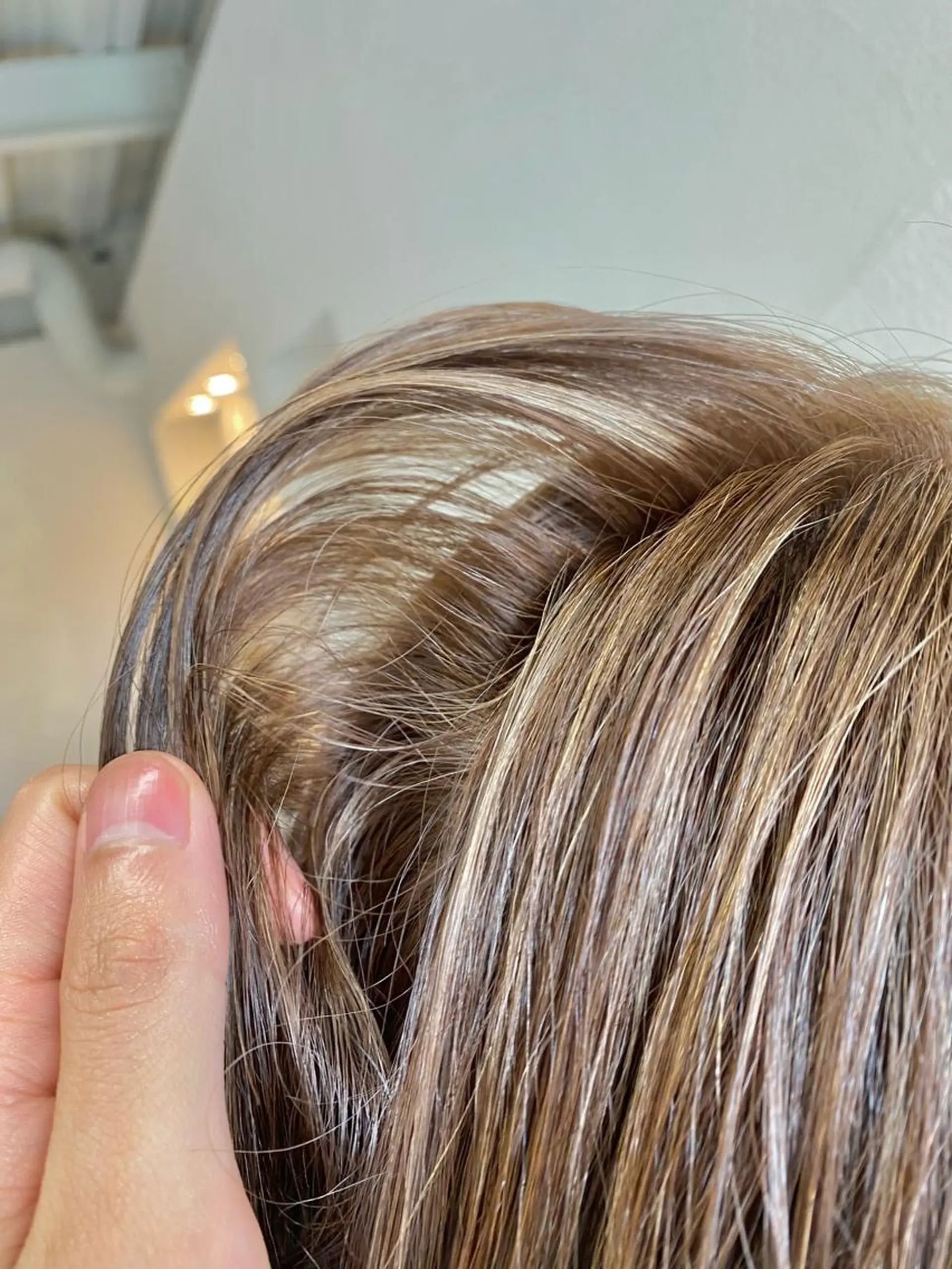 ミディアム カラー 透明感カラー ハイライトカラー ハイライト ウルフカット ❄️中川 慎之介❄️のヘアスタイル