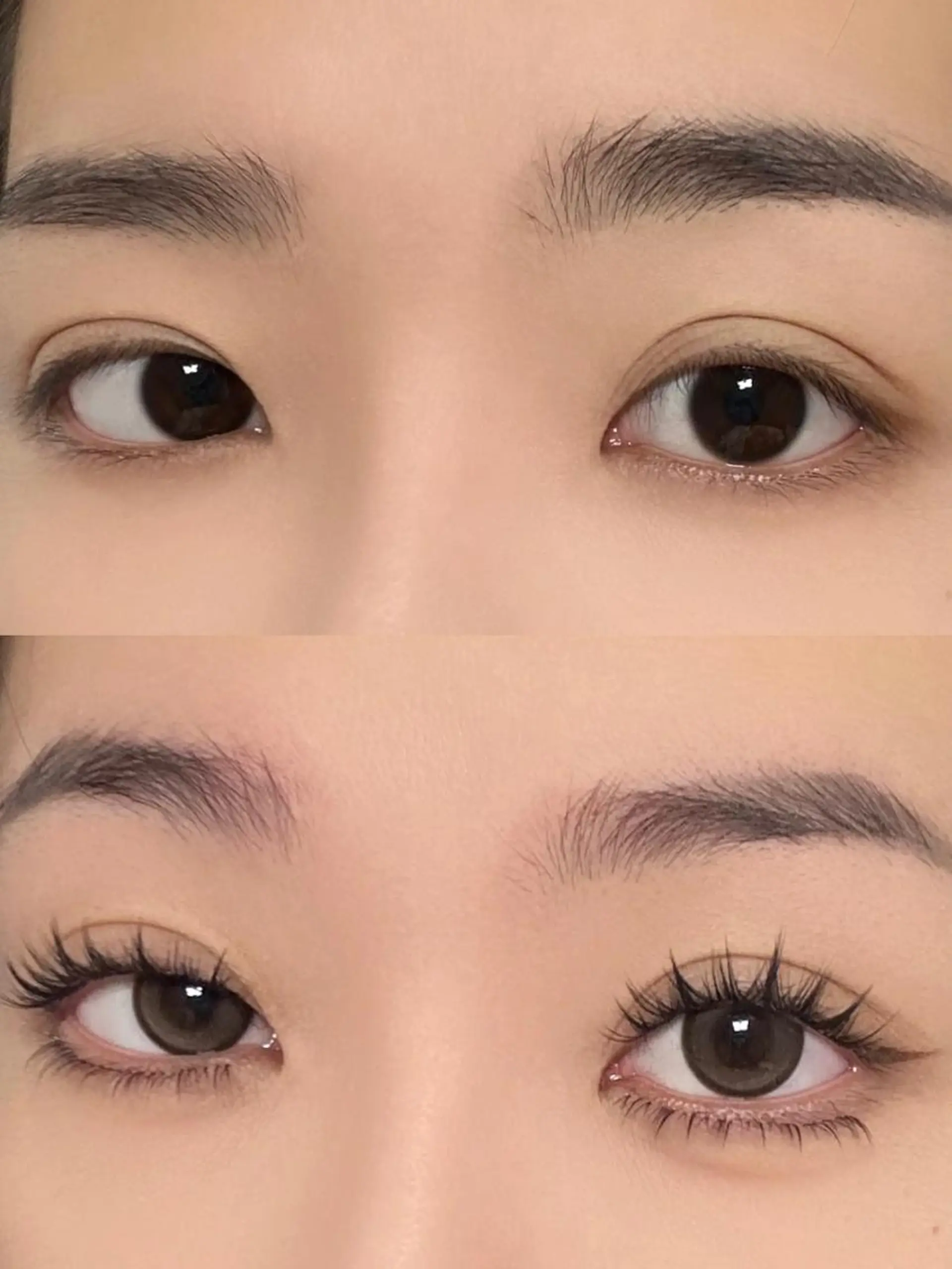 マツエク・マツパ ワンホンデザイン 専門店 FOIのマツエク・マツパデザイン