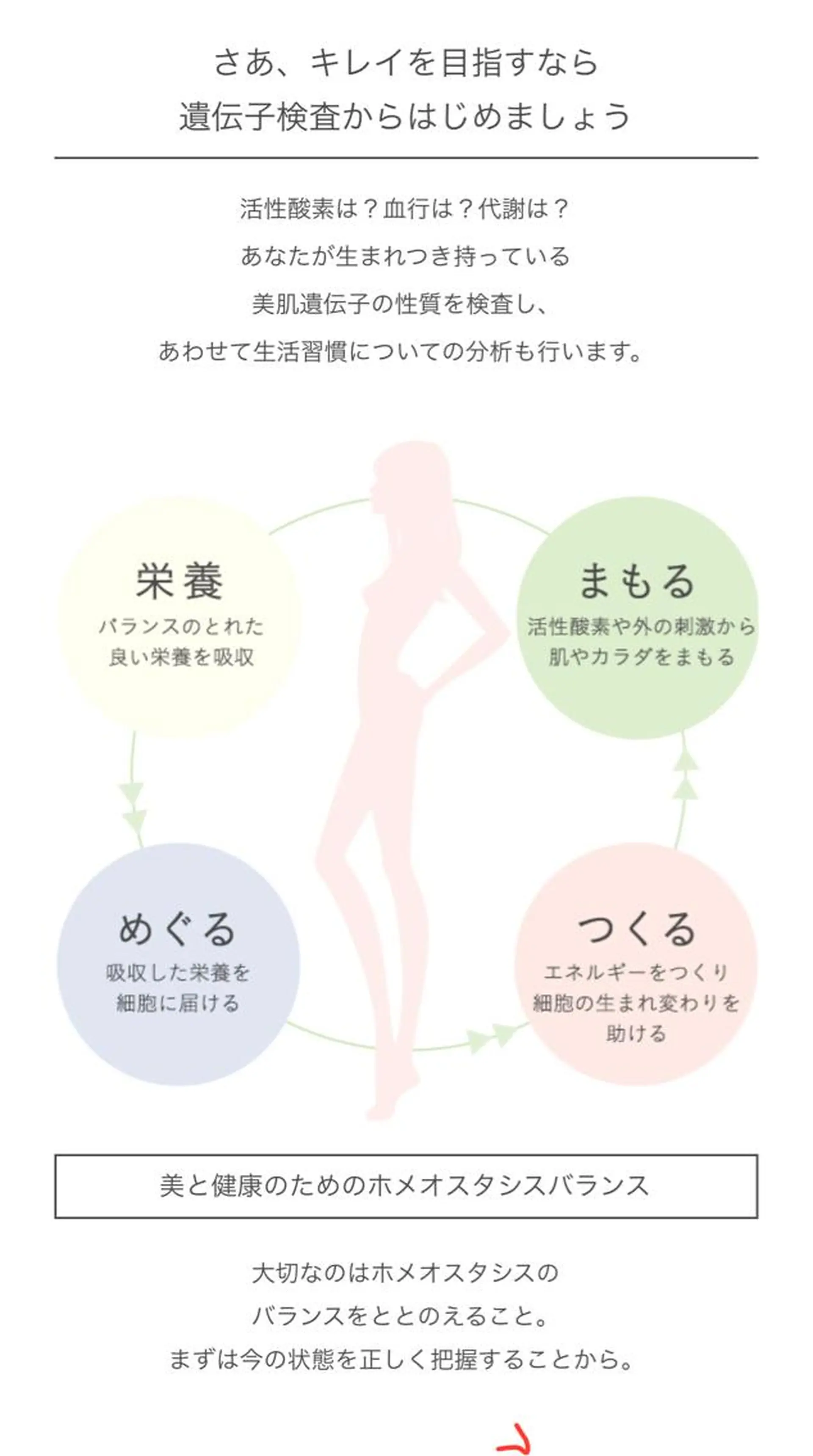 ホメオスタイル銀座 石原梨津子のエステ・リラクイメージ