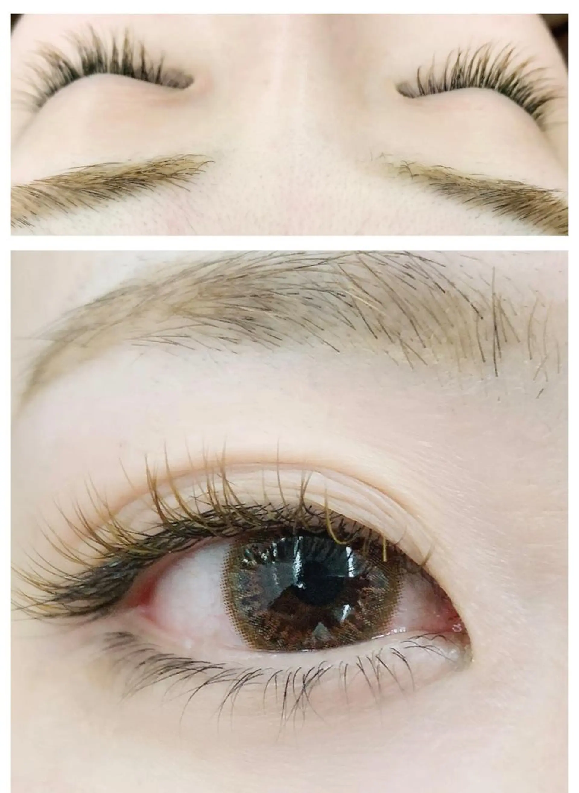 マツエク・マツパ カラーマツエク 【ぱっちり職人】 店長 矢吹のマツエク・マツパデザイン