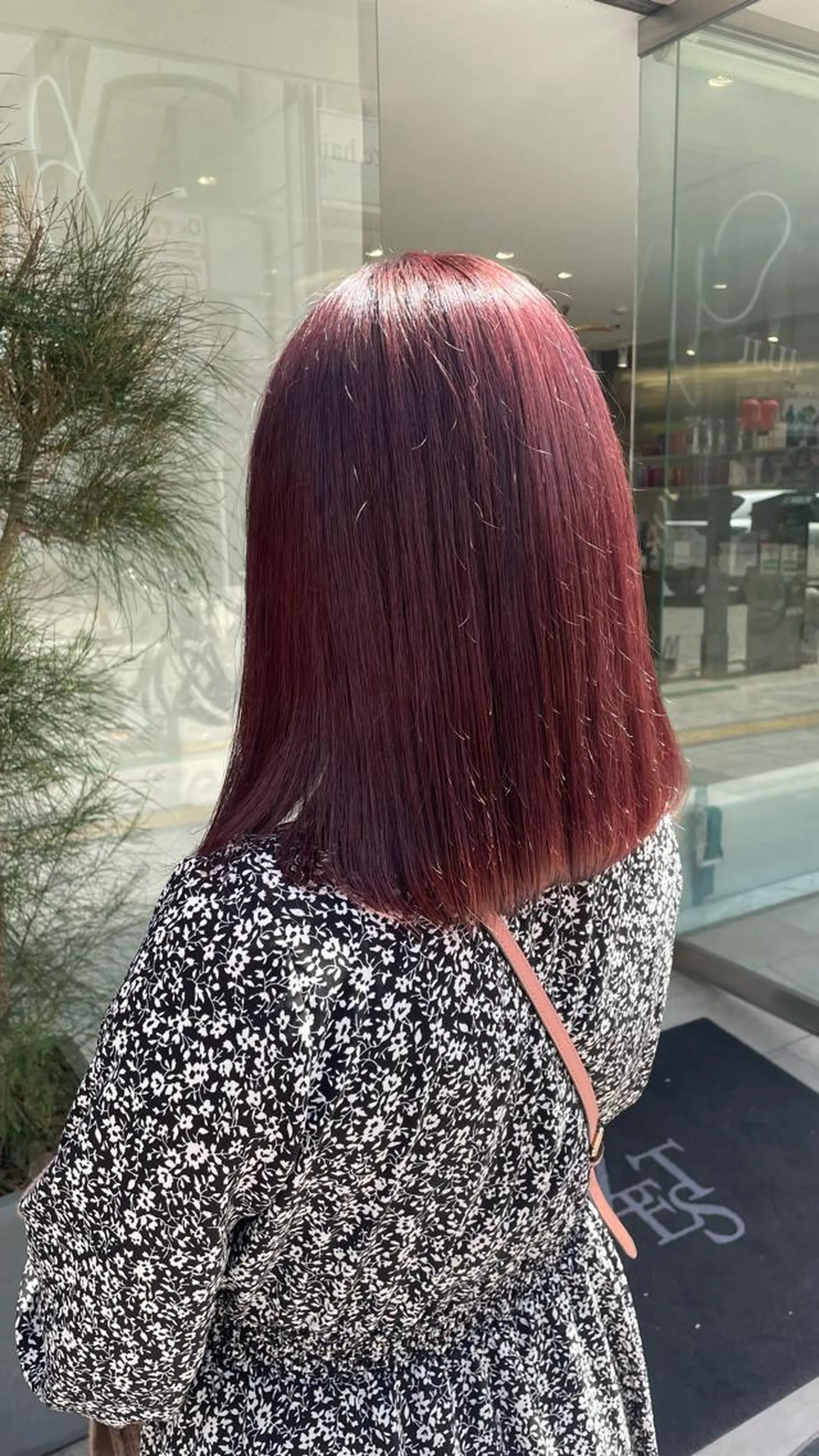 ミディアム カラー ヘアカラー 🧁はるひ/ ZEST Ivy🎀のヘアスタイル