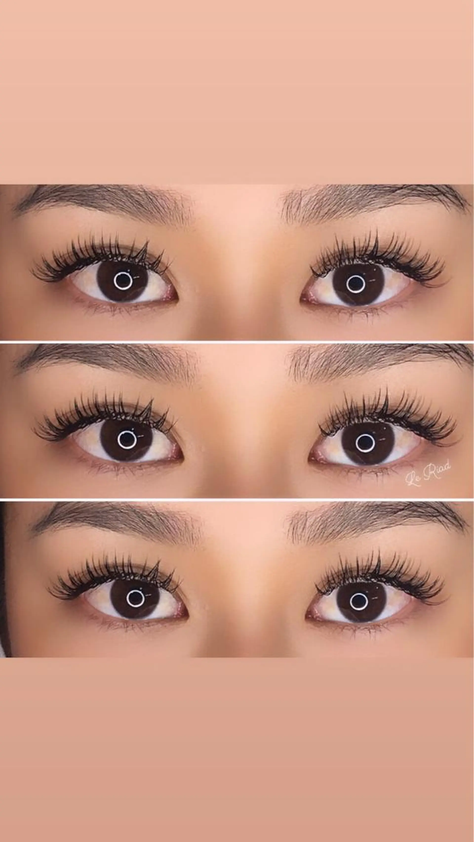 マツエク・マツパ CCカール Cカール セーブル ELLA 菊地のマツエク・マツパデザイン