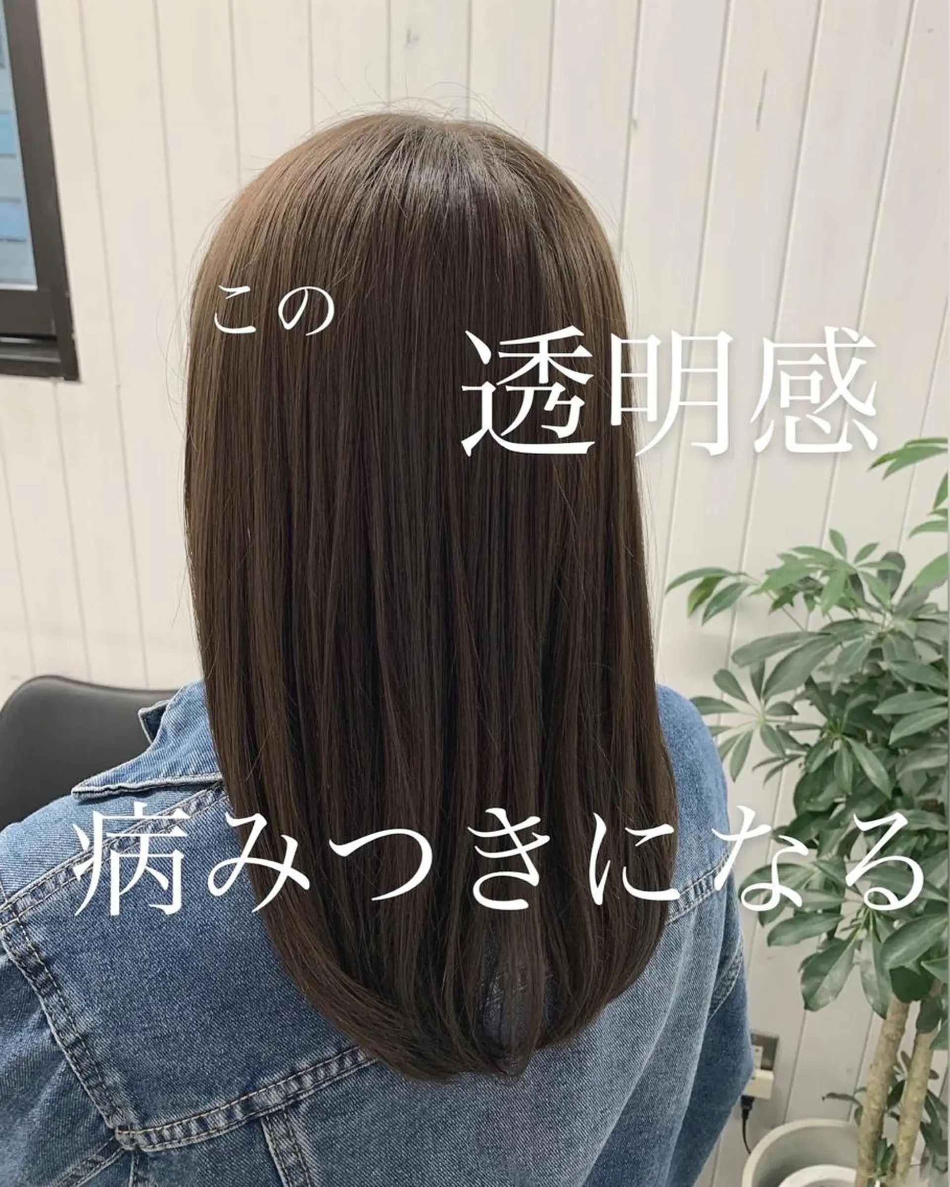 ミディアム ヘアカラー トリートメント ☀️東京→岡崎☀️ ハイライト青山彪雅のヘアスタイル