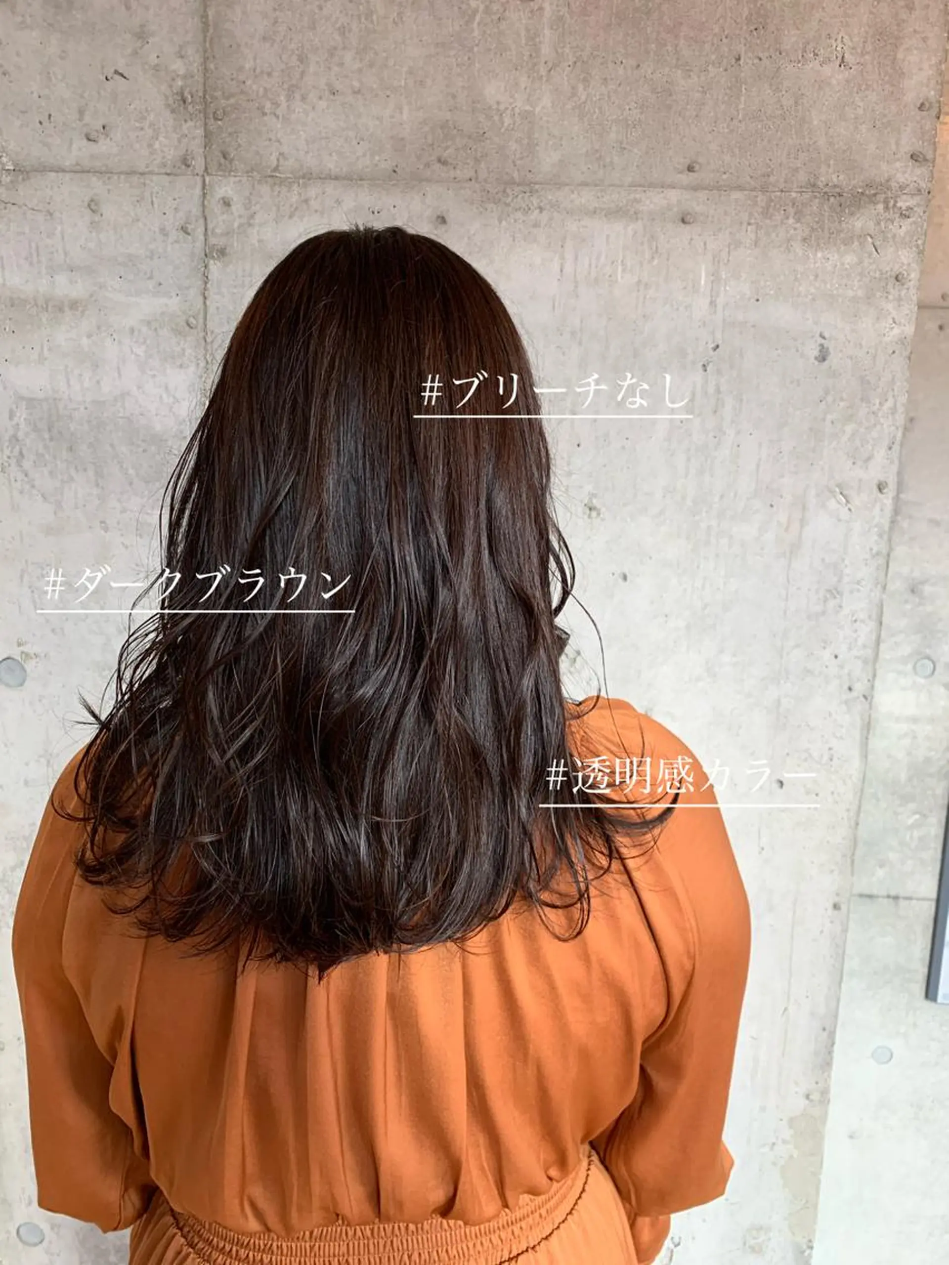 セミロング 🌷横浜/レイヤー /艶カラー🌷のヘアスタイル