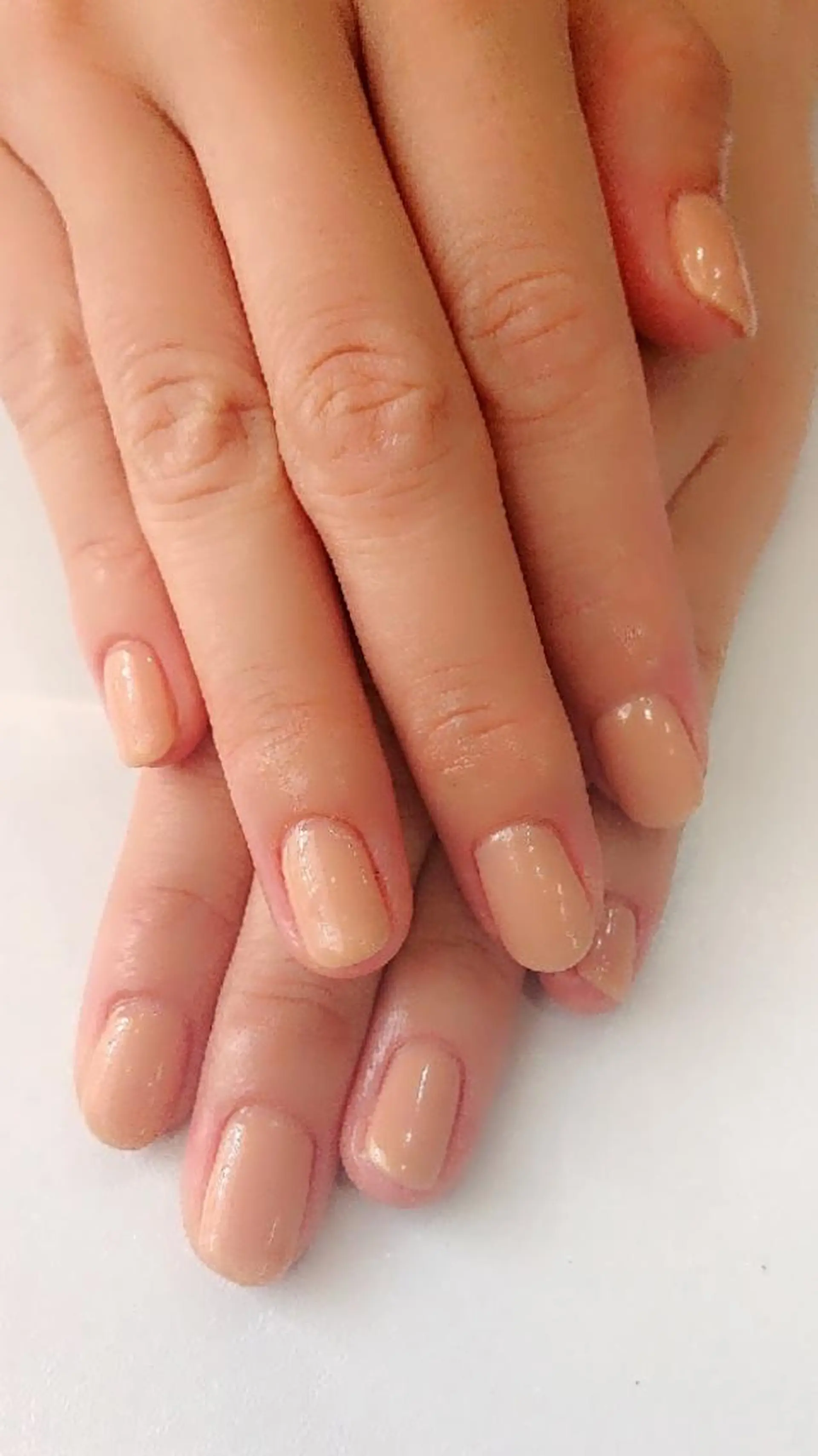 ãã€ã« ðåœæ¥ãOKð ð³ðŒðµðšè±äºã®ãã€ã«ãã¶ã€ã³