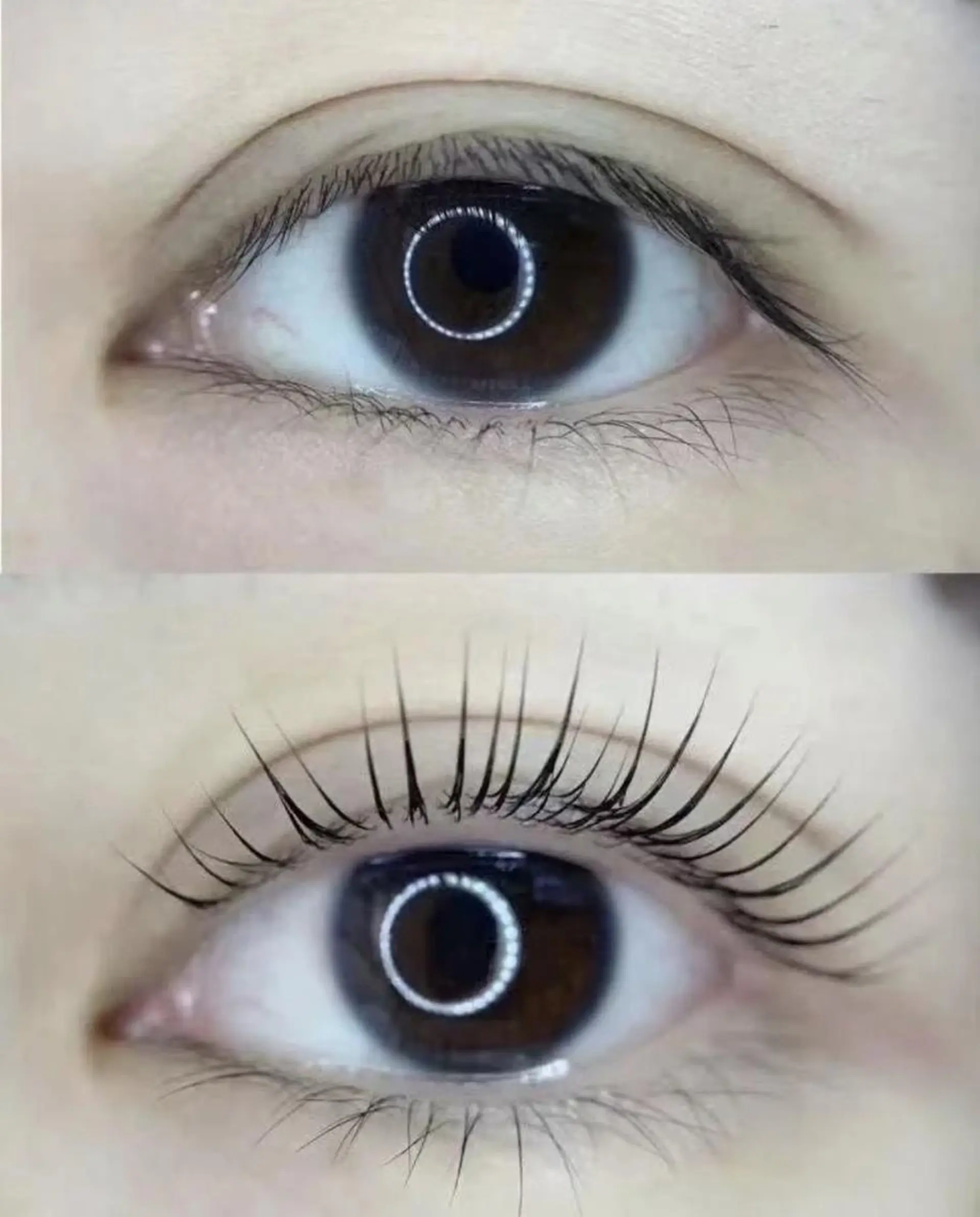 マツエク・マツパ マツパ Cute B e au t yのマツエク・マツパデザイン