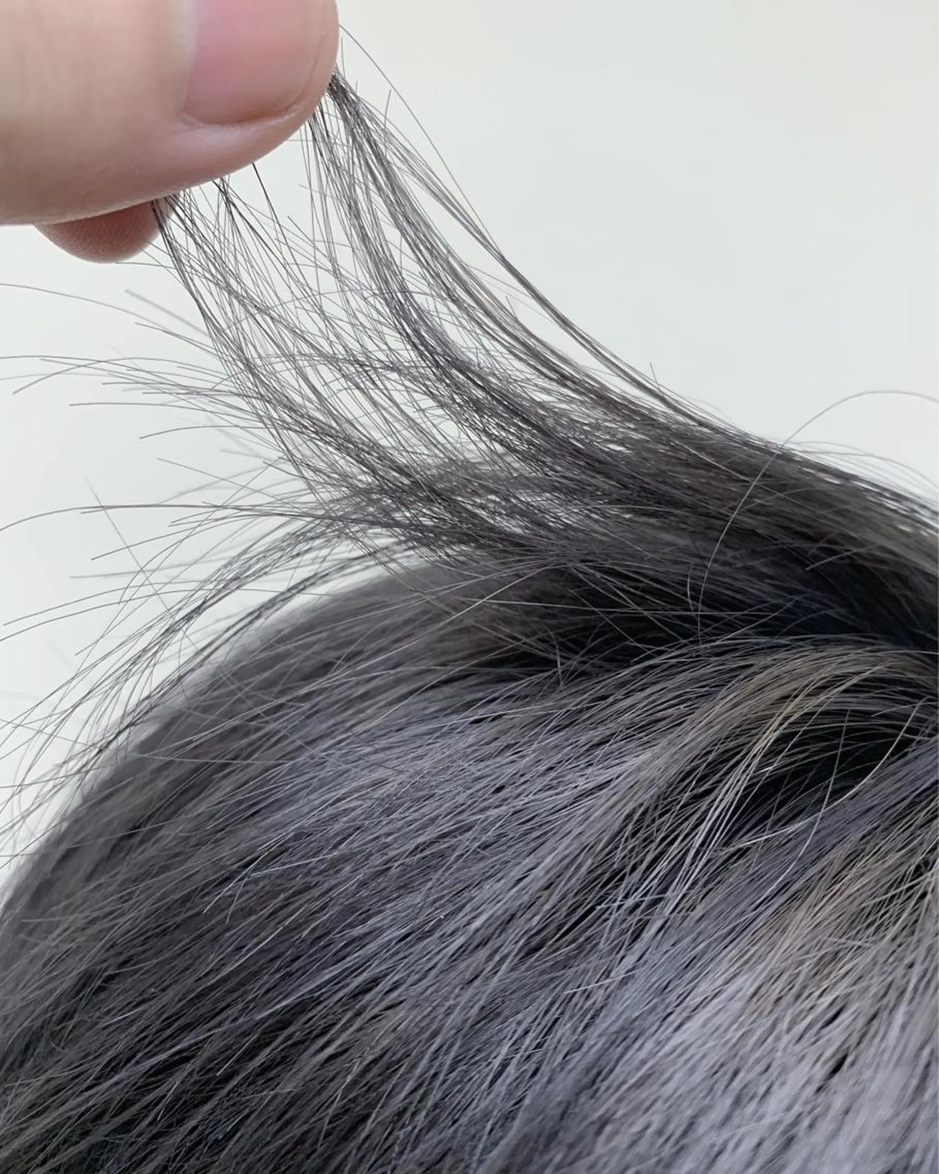 カラー メンズ ヘアカラー 新宿/髪質改善 /透け感/Sotaのヘアスタイル