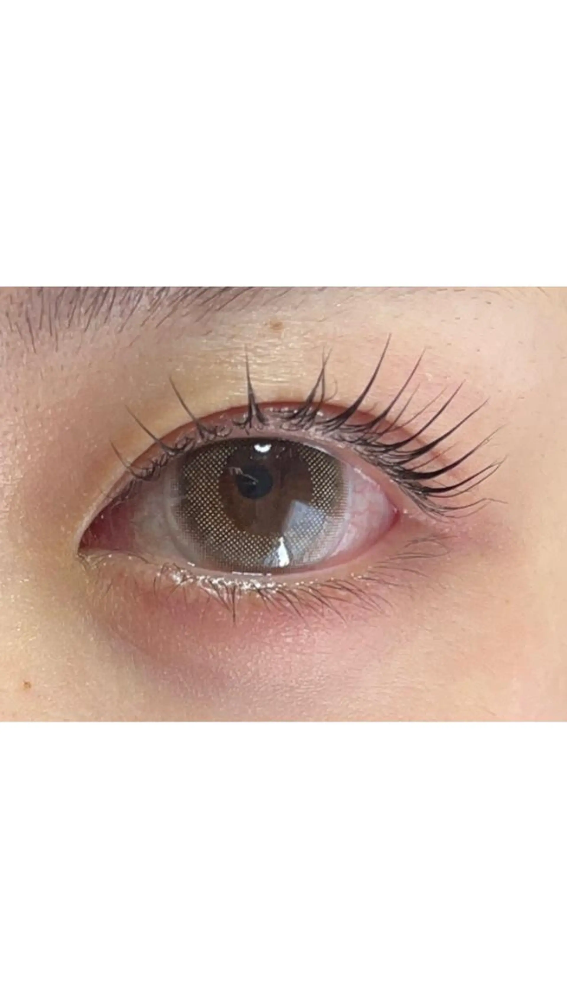 マツエク・マツパ パリジェンヌラッシュリフト マツエク ♡tiana juna˖ ࣪⊹のマツエク・マツパデザイン