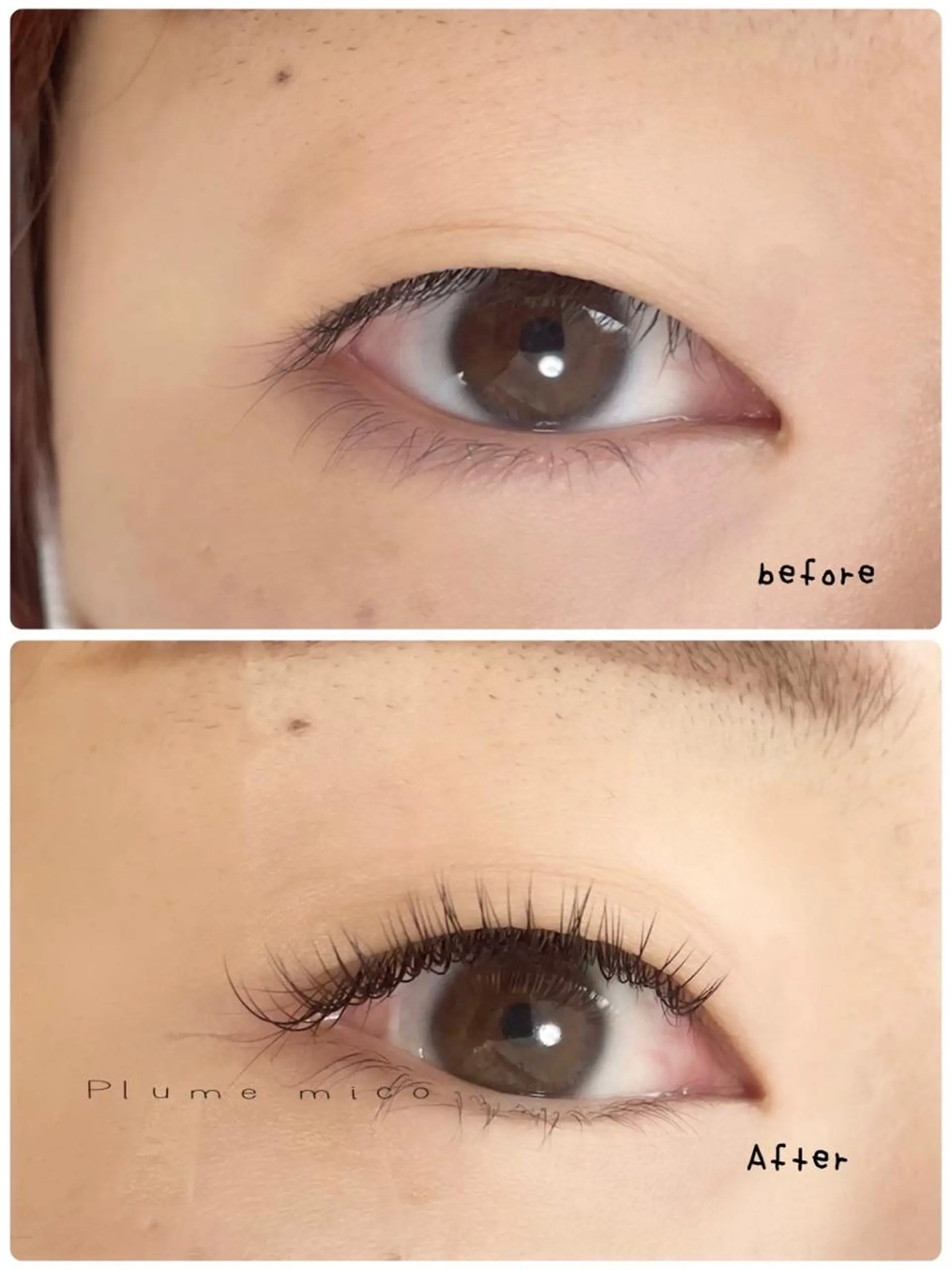 マツエク・マツパ マツエク Plume micoのマツエク・マツパデザイン