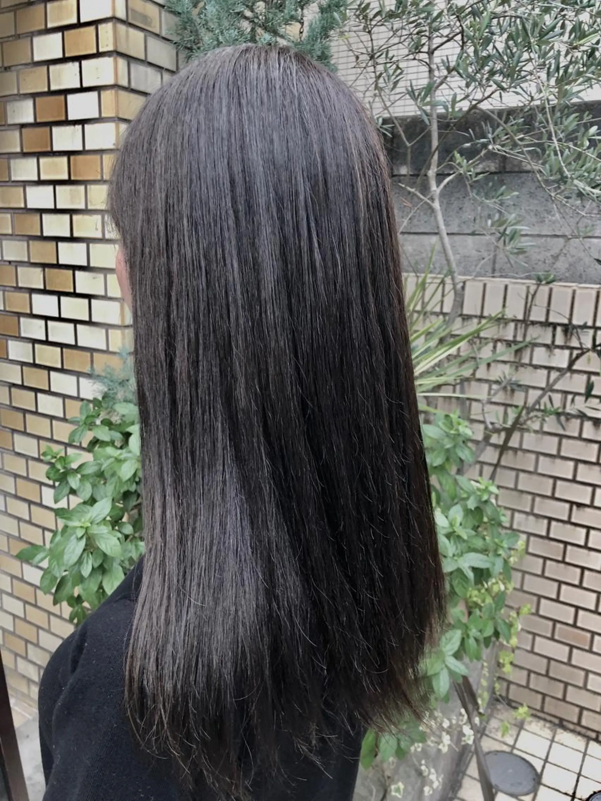 ロング カラー ダークグレー ダークグレージュ グレージュ イルミナカラー スターダスト 桐原 竜也のヘアスタイル