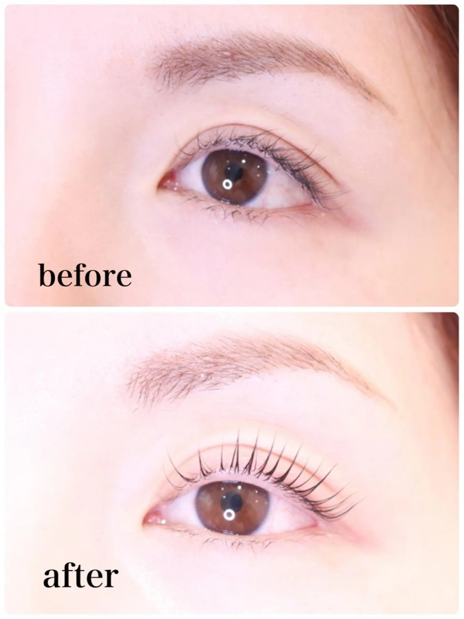 マツエク・マツパ サクラブロウ 池袋　店の眉毛・アイブロウイメージ