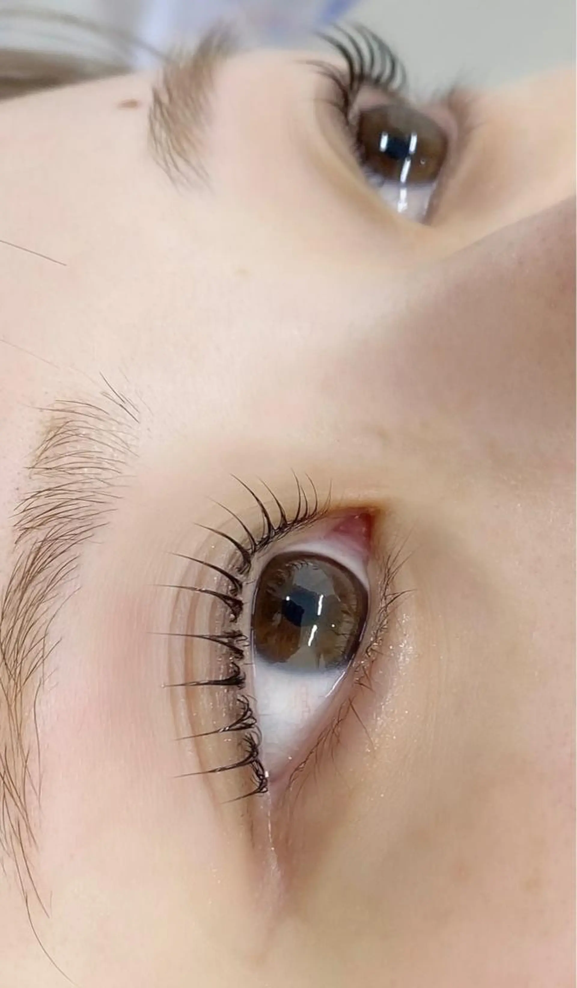 マツエク・マツパ 🌼Alba🌼 犬馬塲のマツエク・マツパデザイン