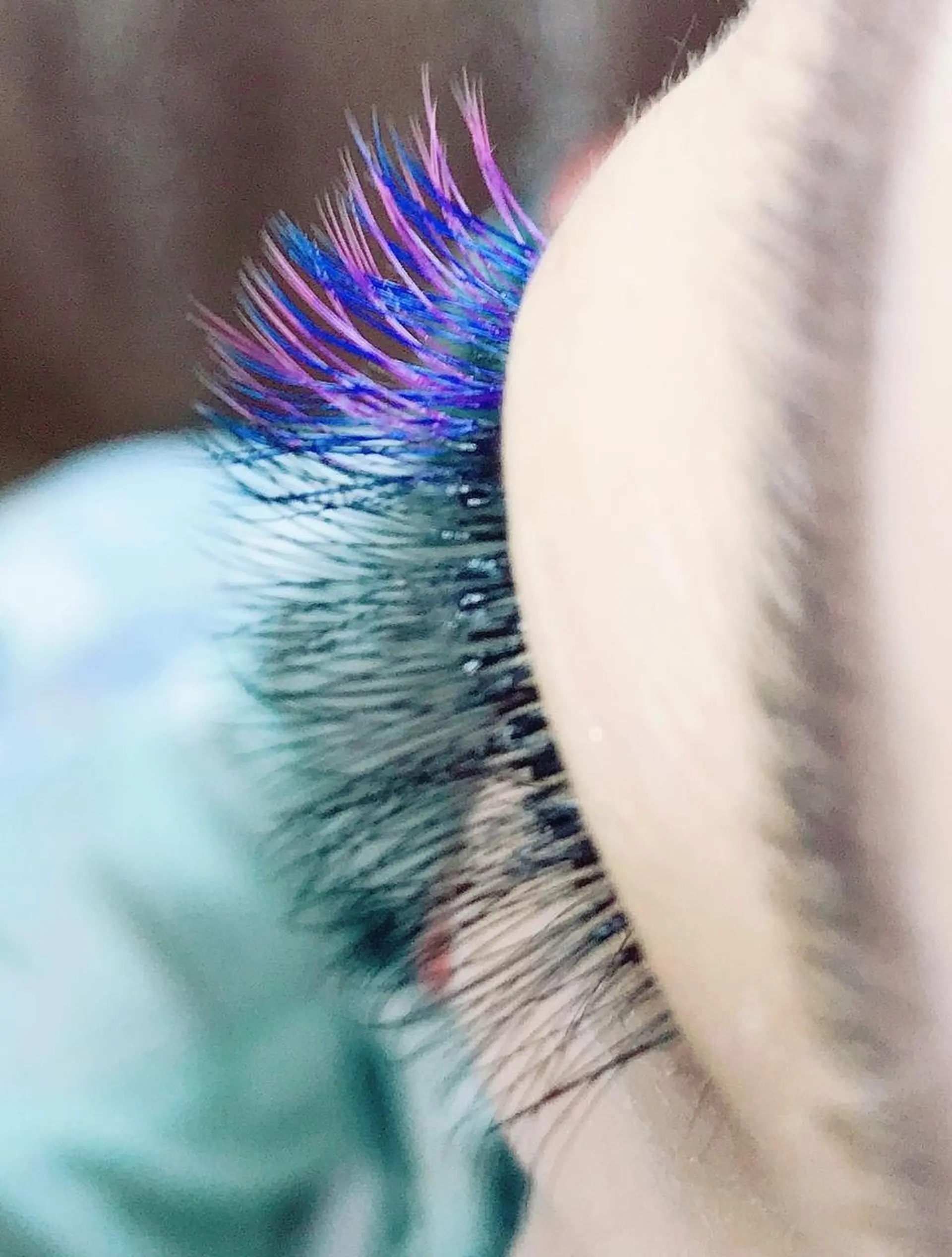 マツエク・マツパ ネイル An beauty2のマツエク・マツパデザイン