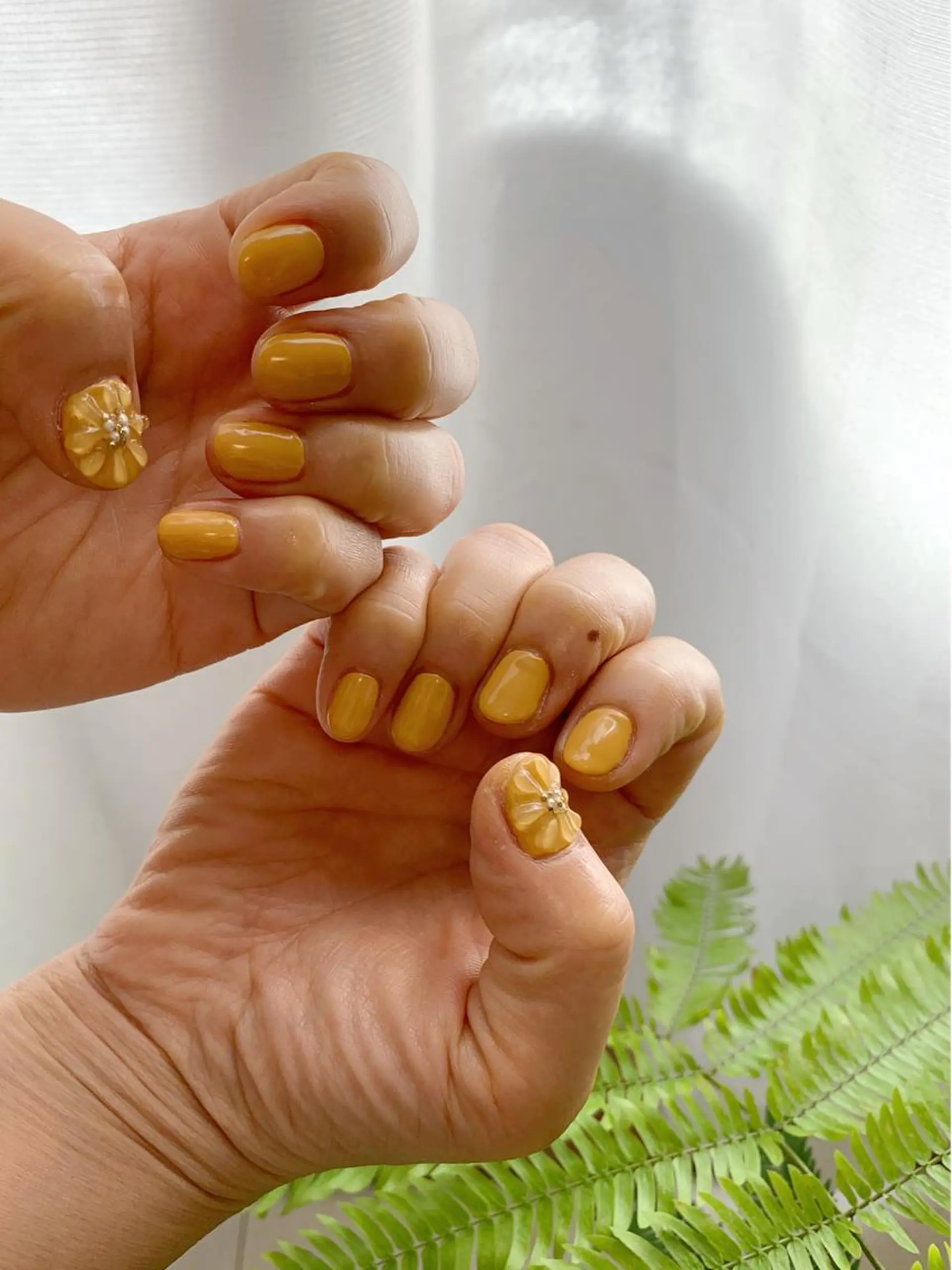 ネイル アートネイル SHIKI モリンガ蒸し/水光肌のエステ・リラクイメージ