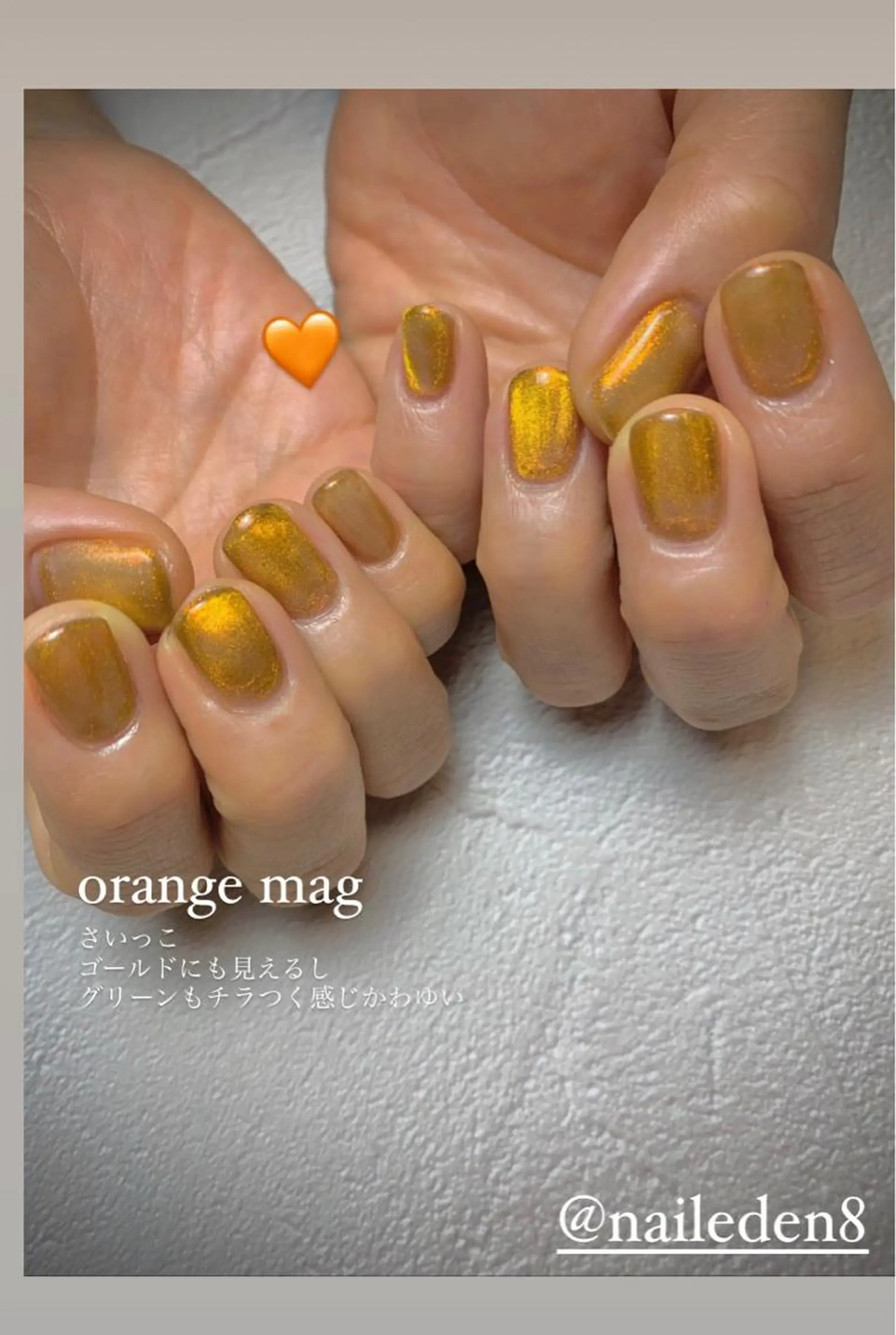 ネイル マグネットネイル オレンジ Eden　private nail saron所属・Eden ♾️のネイルデザイン