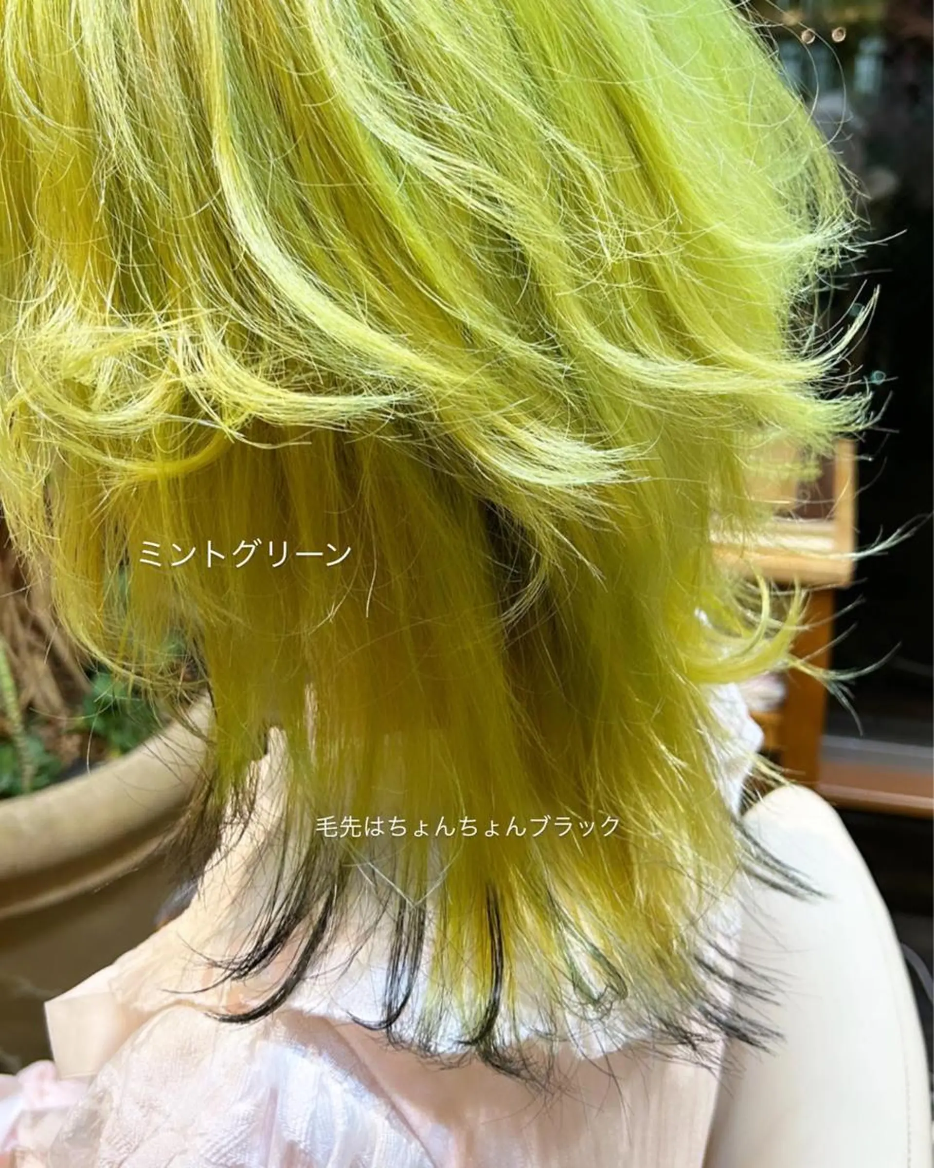 セミロング カラー ヘアカラー トリートメント ヘアセット DiMPlE  ディンプル所属・🌸スタイリスト 山浦美恵のヘアスタイル