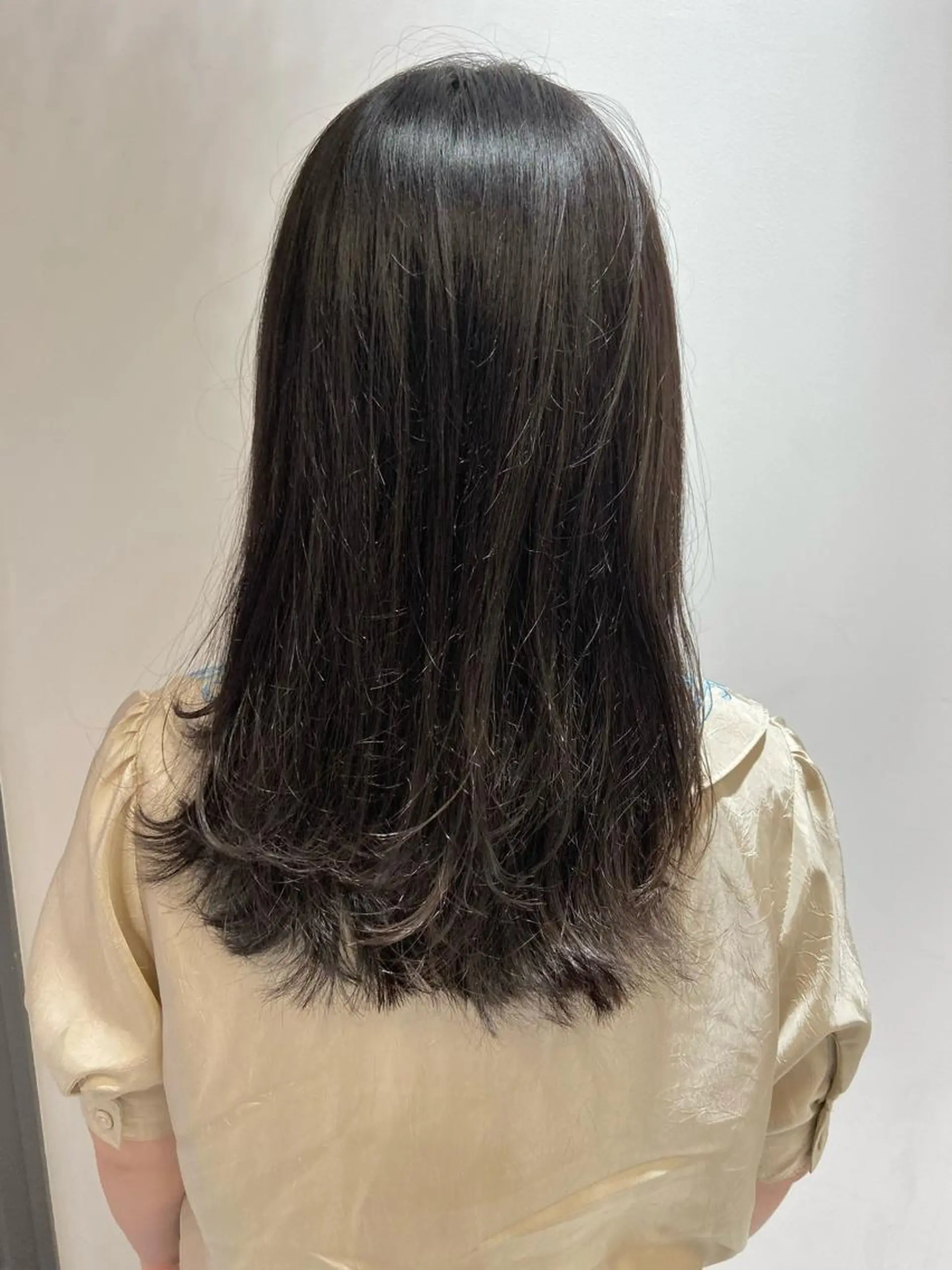 セミロング カラー カット ヘアカラー トリートメント 🐺ウルフ/レイヤー 似合わせ‎🤍沙羅のヘアスタイル