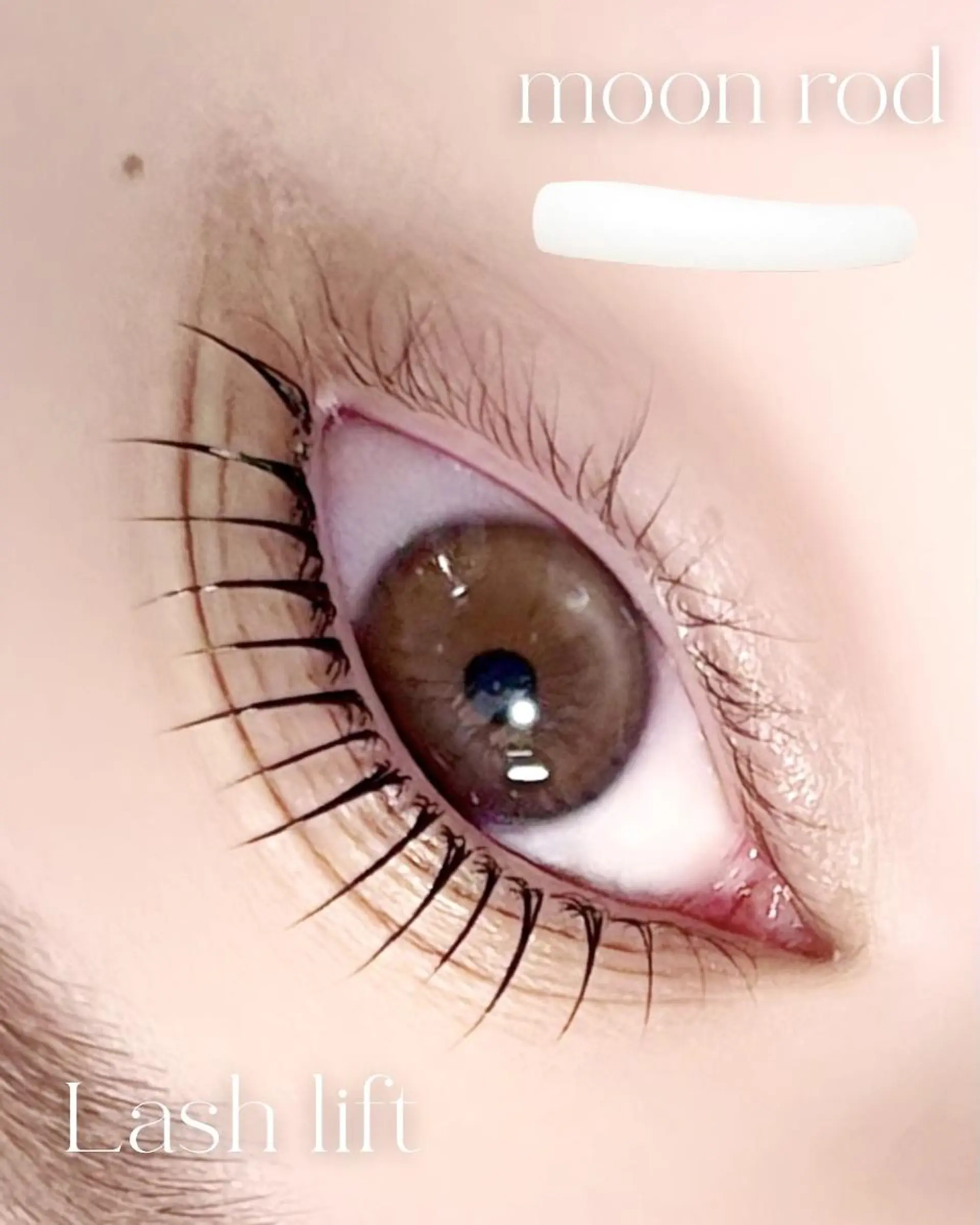 マツエク・マツパ マツパ Chipn. 表参道ｱｲﾘｽﾄのマツエク・マツパデザイン