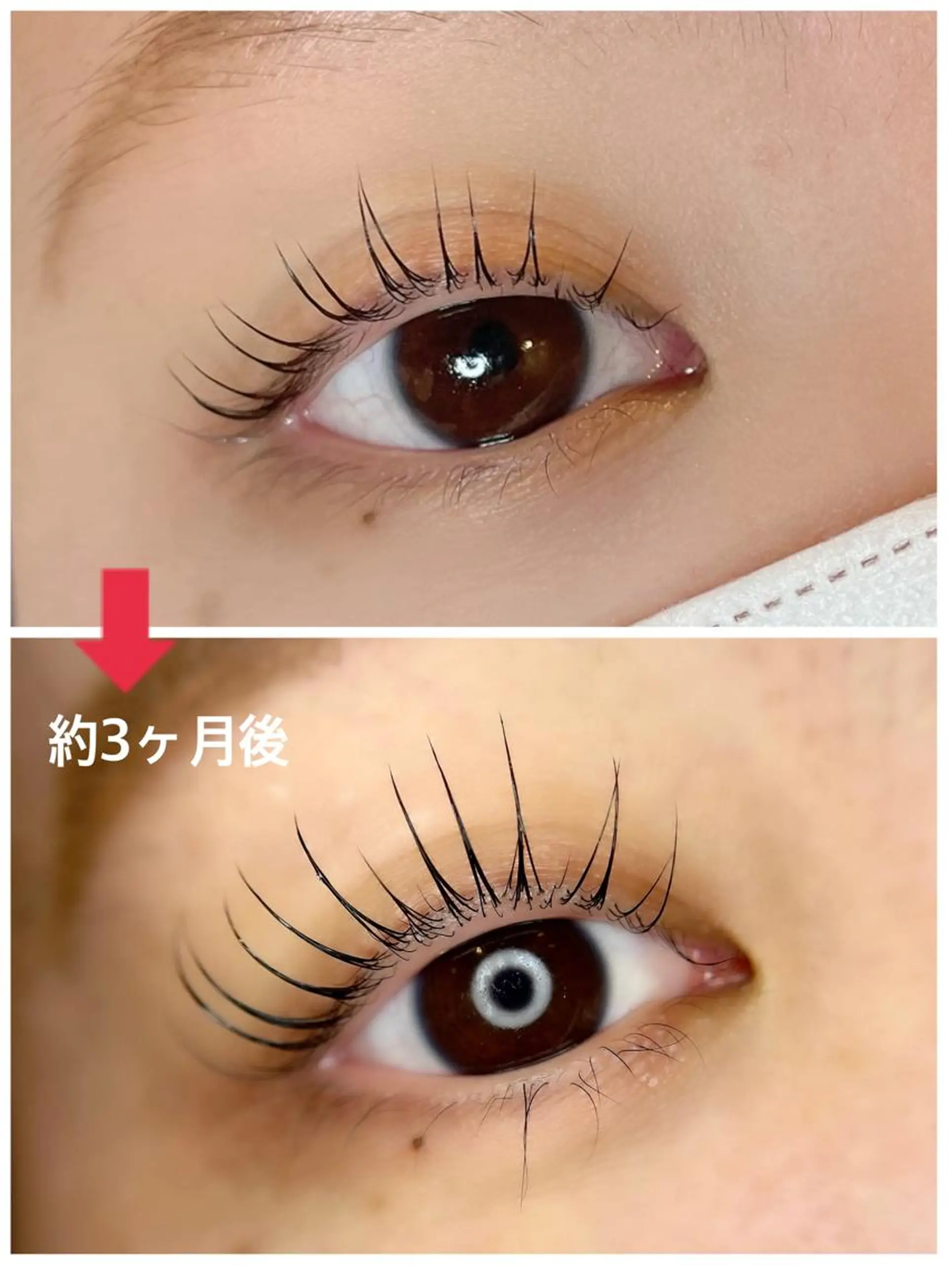 マツエク・マツパ フラットラッシュ ナチュラル パリジェンヌラッシュリフト まつげパーマ 一重×まつ毛パーマ マツパ 💕丸島 夏名🐰🍀のマツエク・マツパデザイン